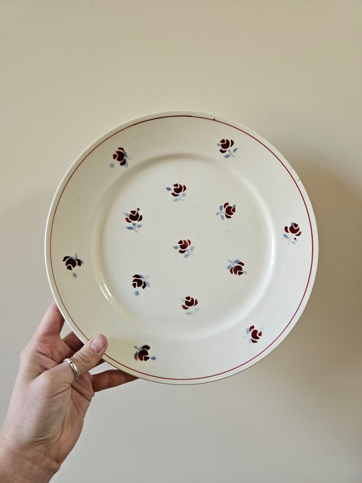 Plat rond Ceranord, Rosettes