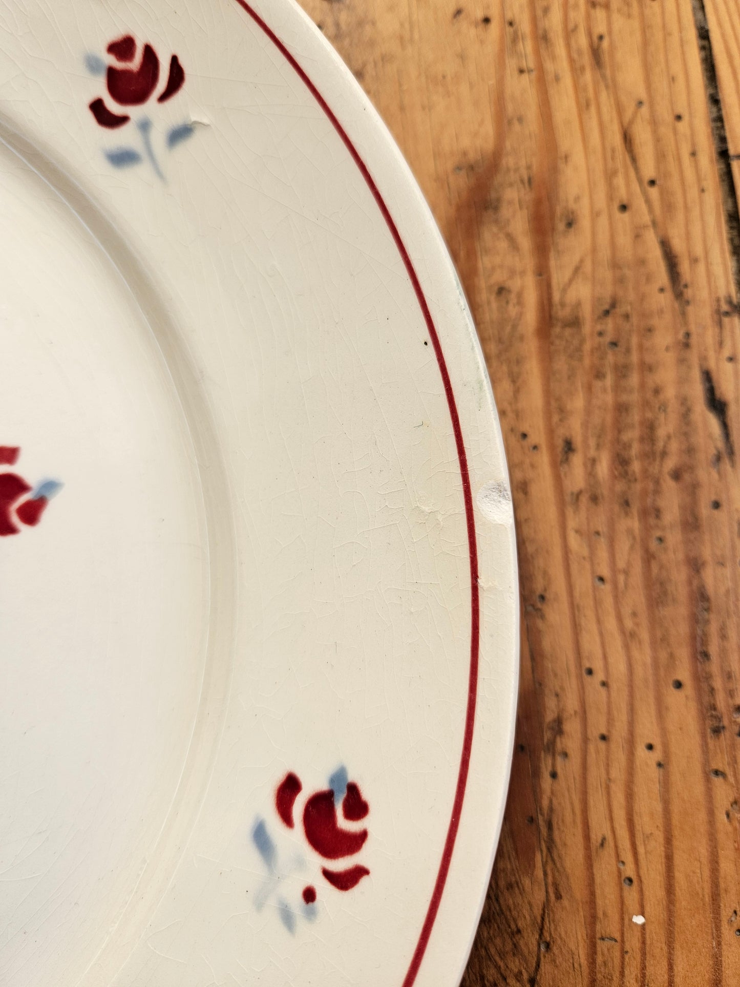 Plat rond Ceranord, Rosettes