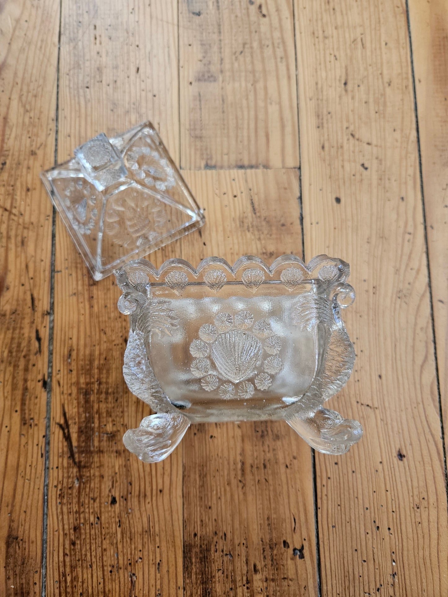 Bonbonnière coquillages