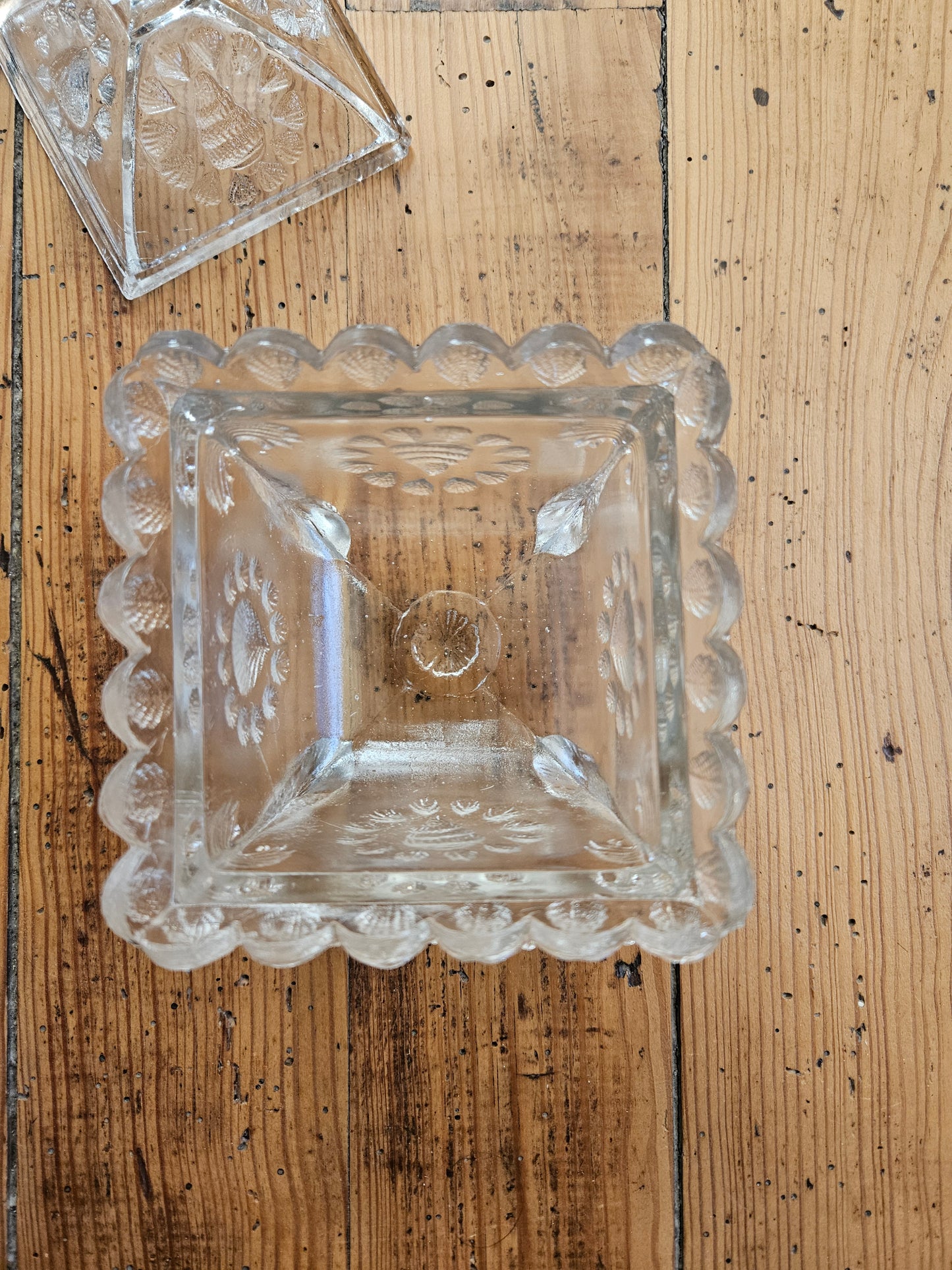 Bonbonnière coquillages