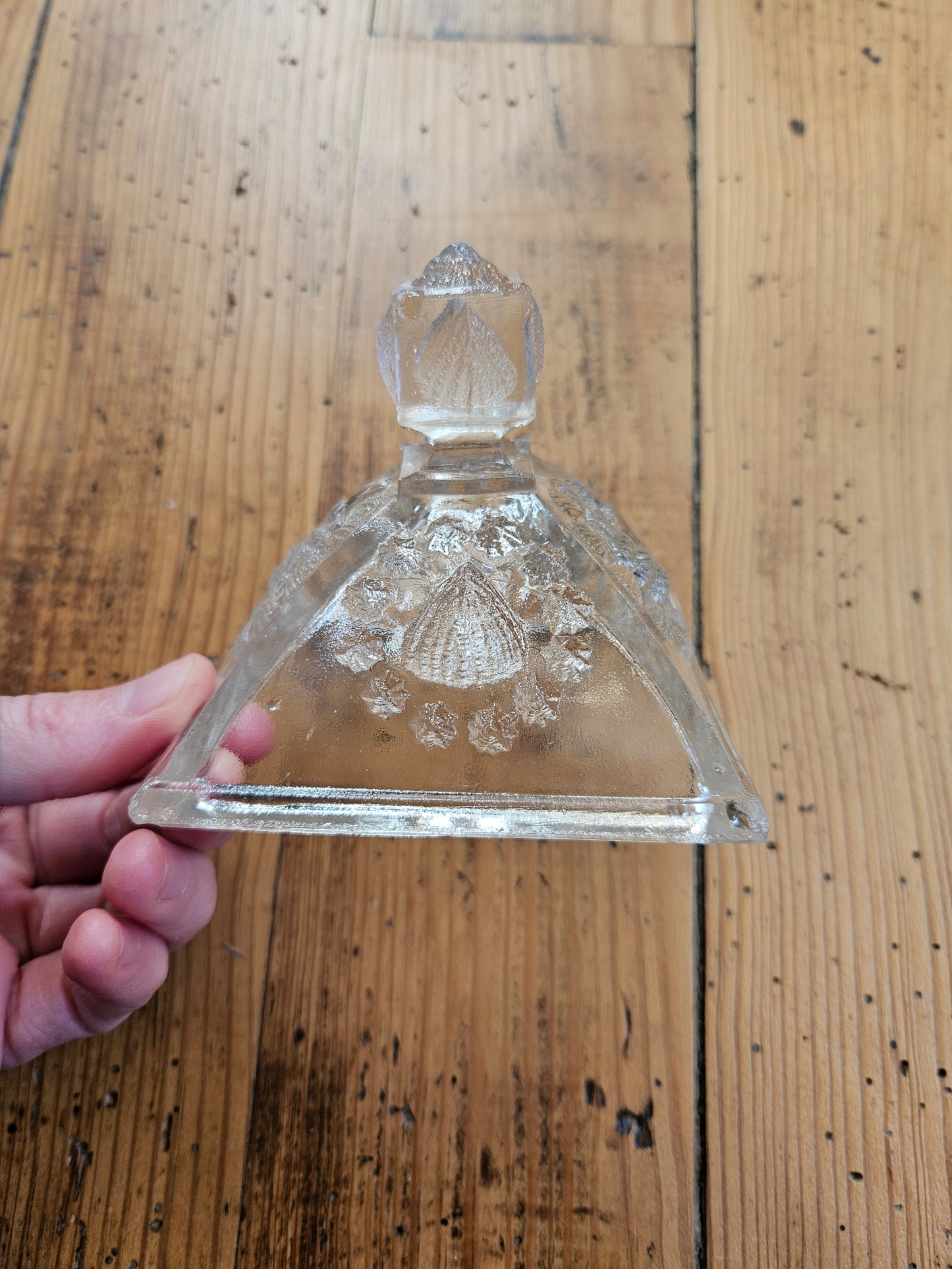 Bonbonnière coquillages