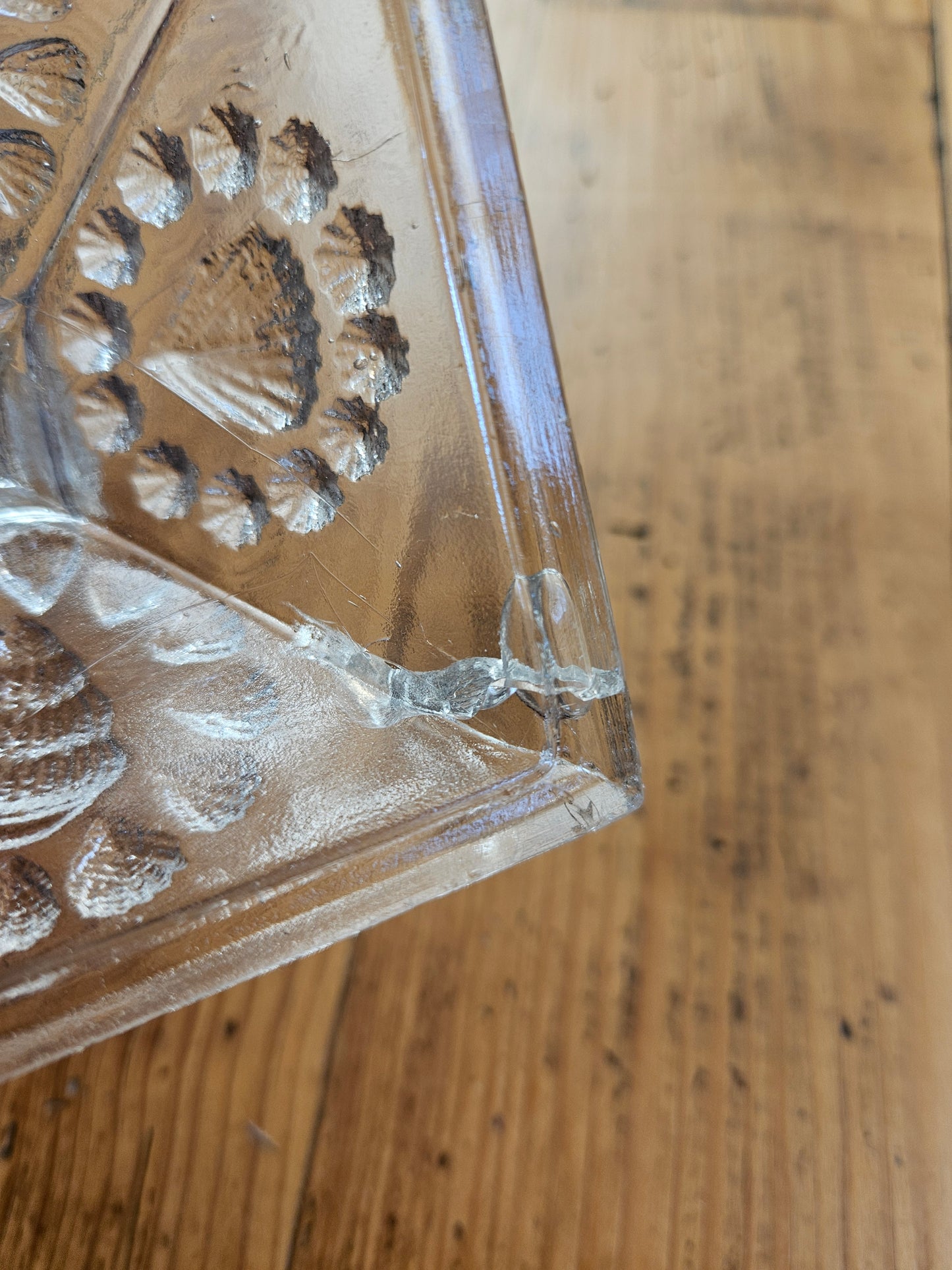 Bonbonnière coquillages