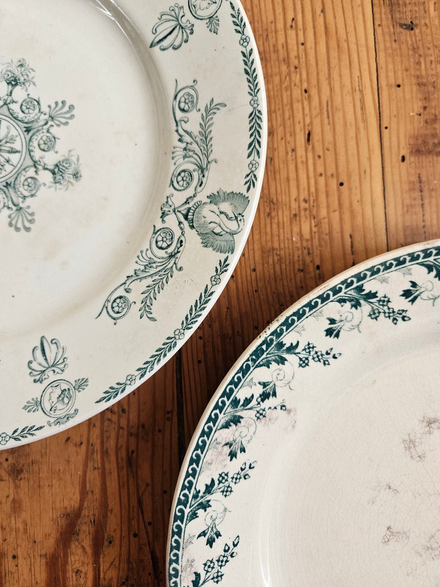 Duo d’assiettes plates dépareillées vertes