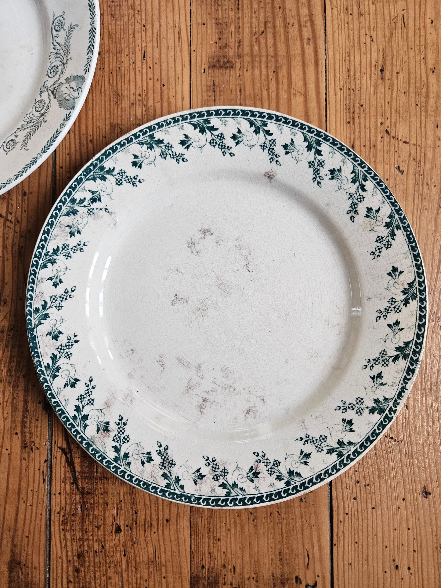 Duo d’assiettes plates dépareillées vertes