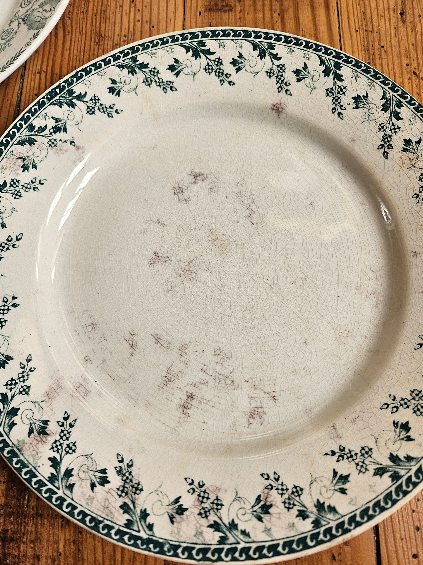Duo d’assiettes plates dépareillées vertes