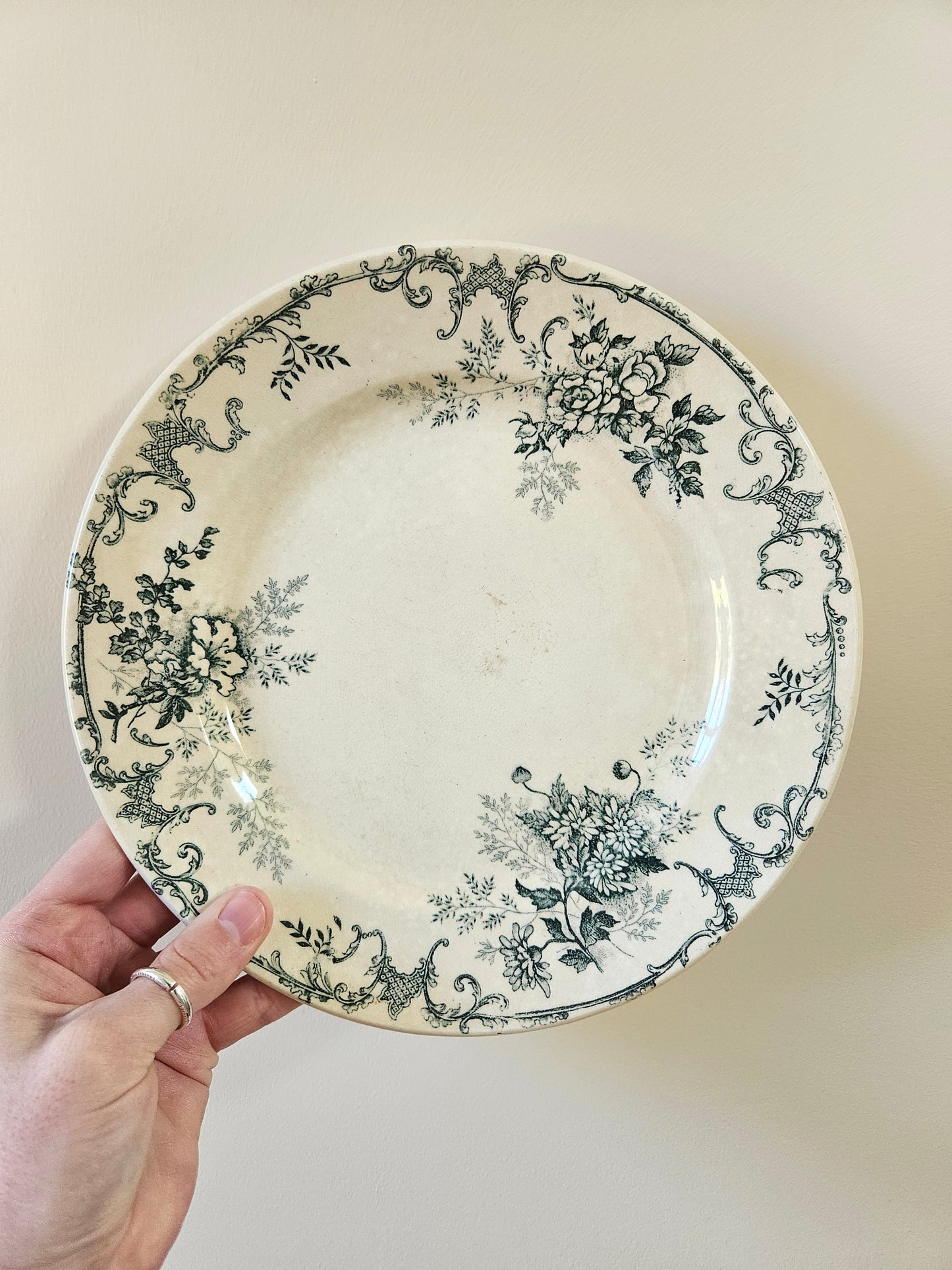 Assiette plate H.C