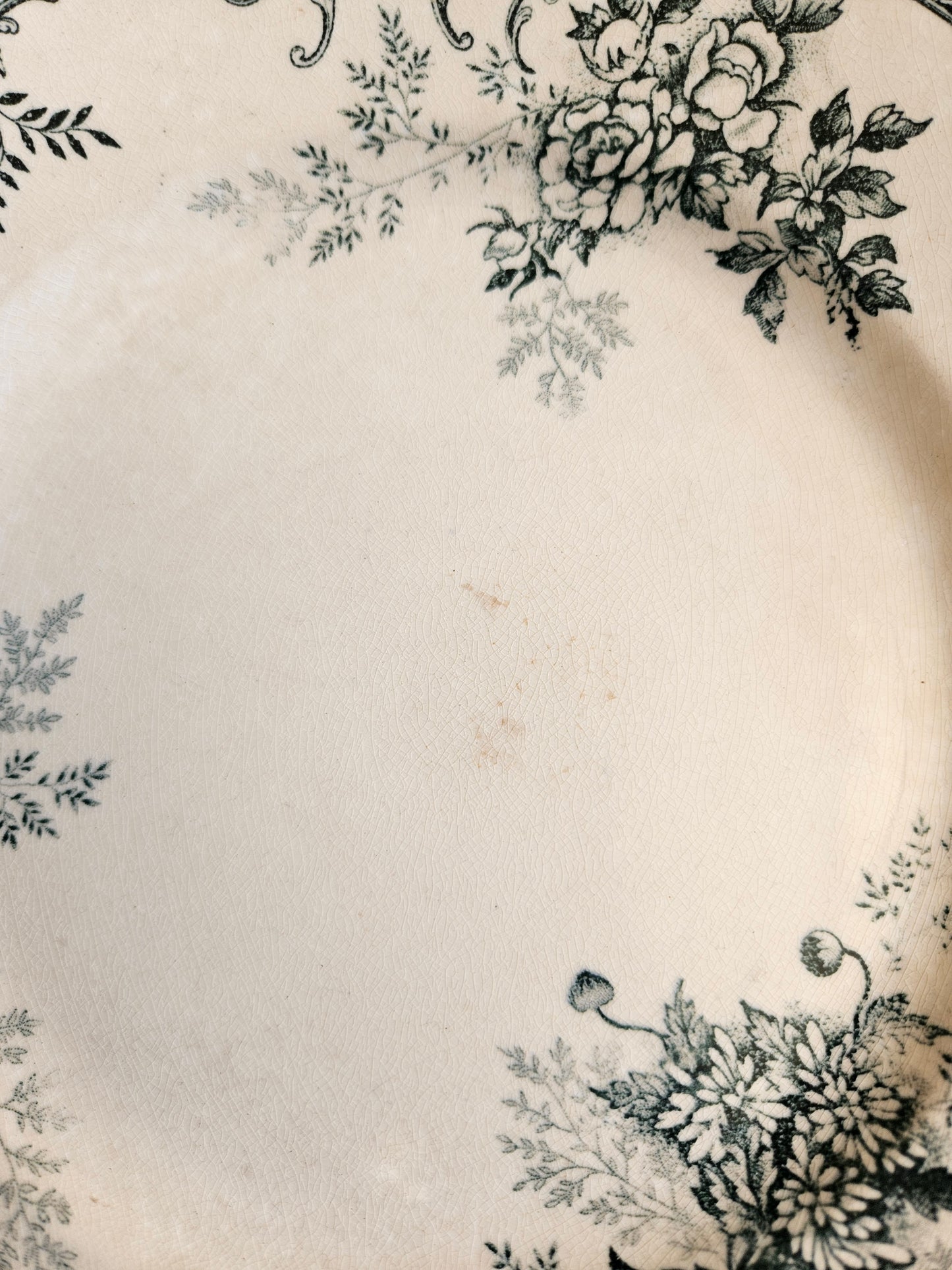 Assiette plate H.C