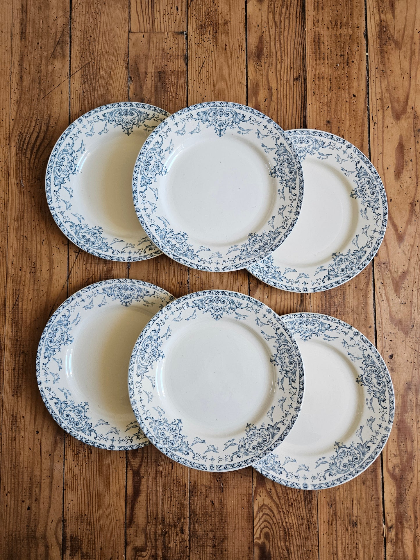 Assiettes plates K&G Lunéville, Colombes