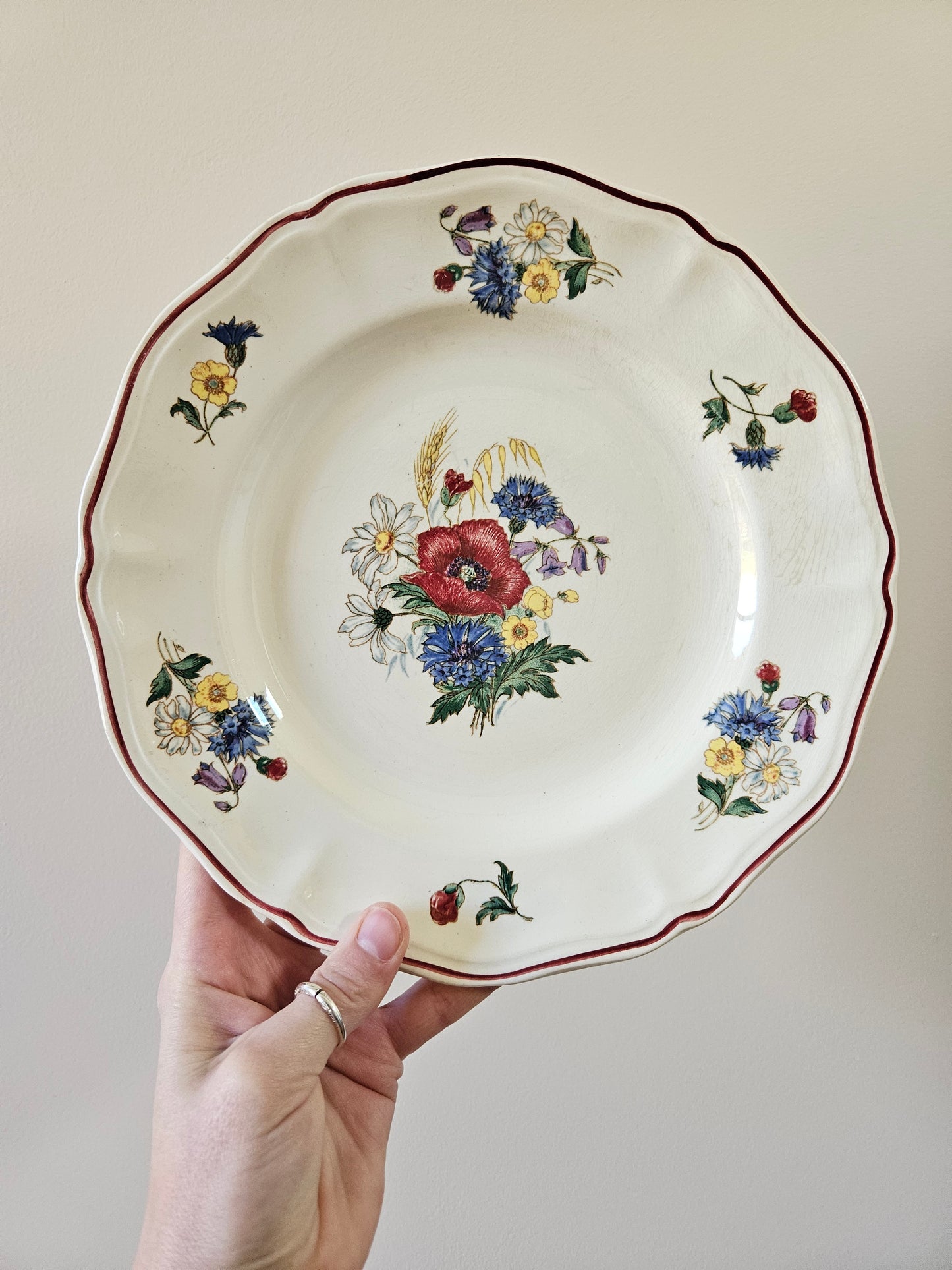 Assiettes plates Sarreguemines, Agreste