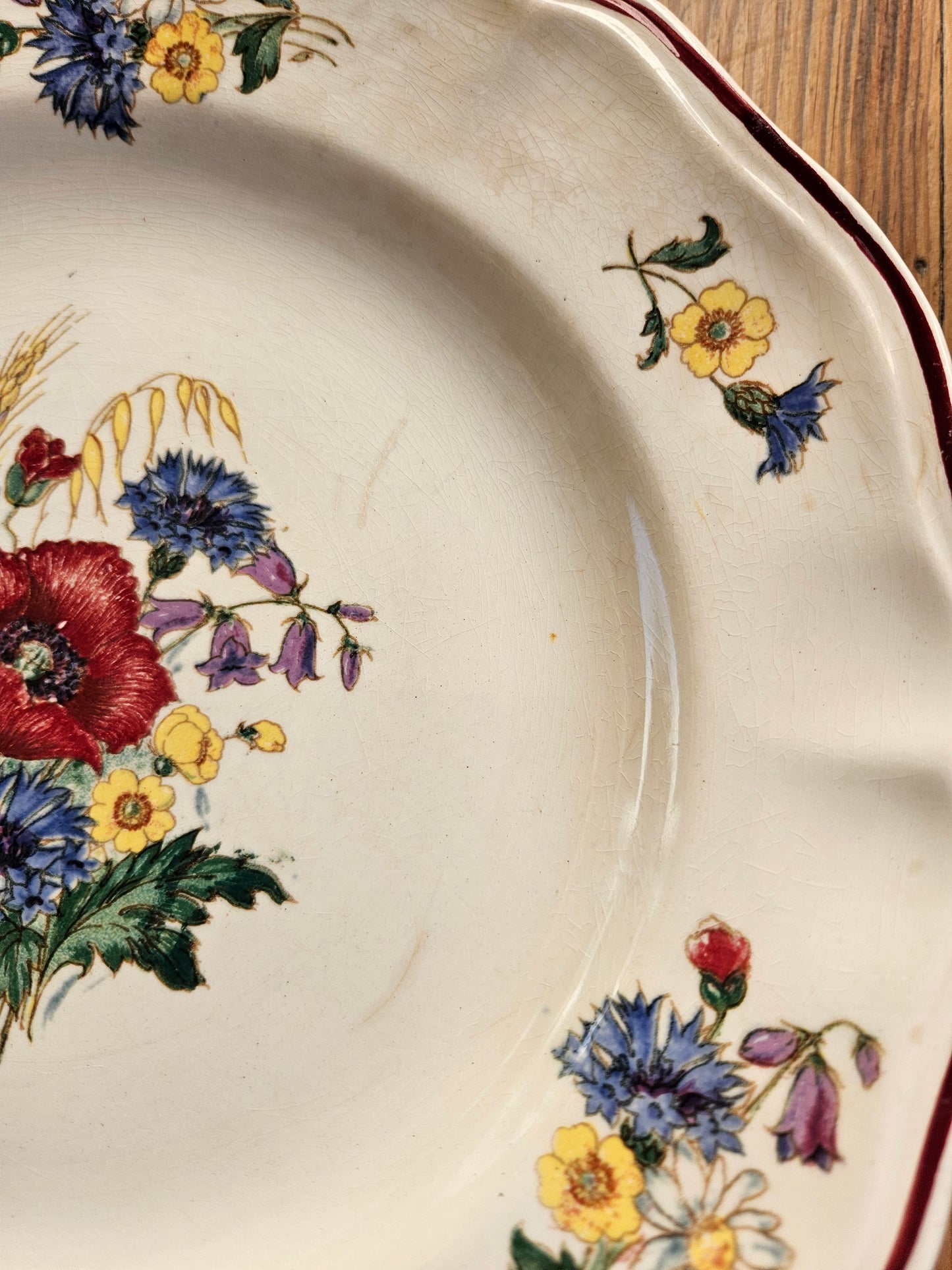 Assiettes plates Sarreguemines, Agreste