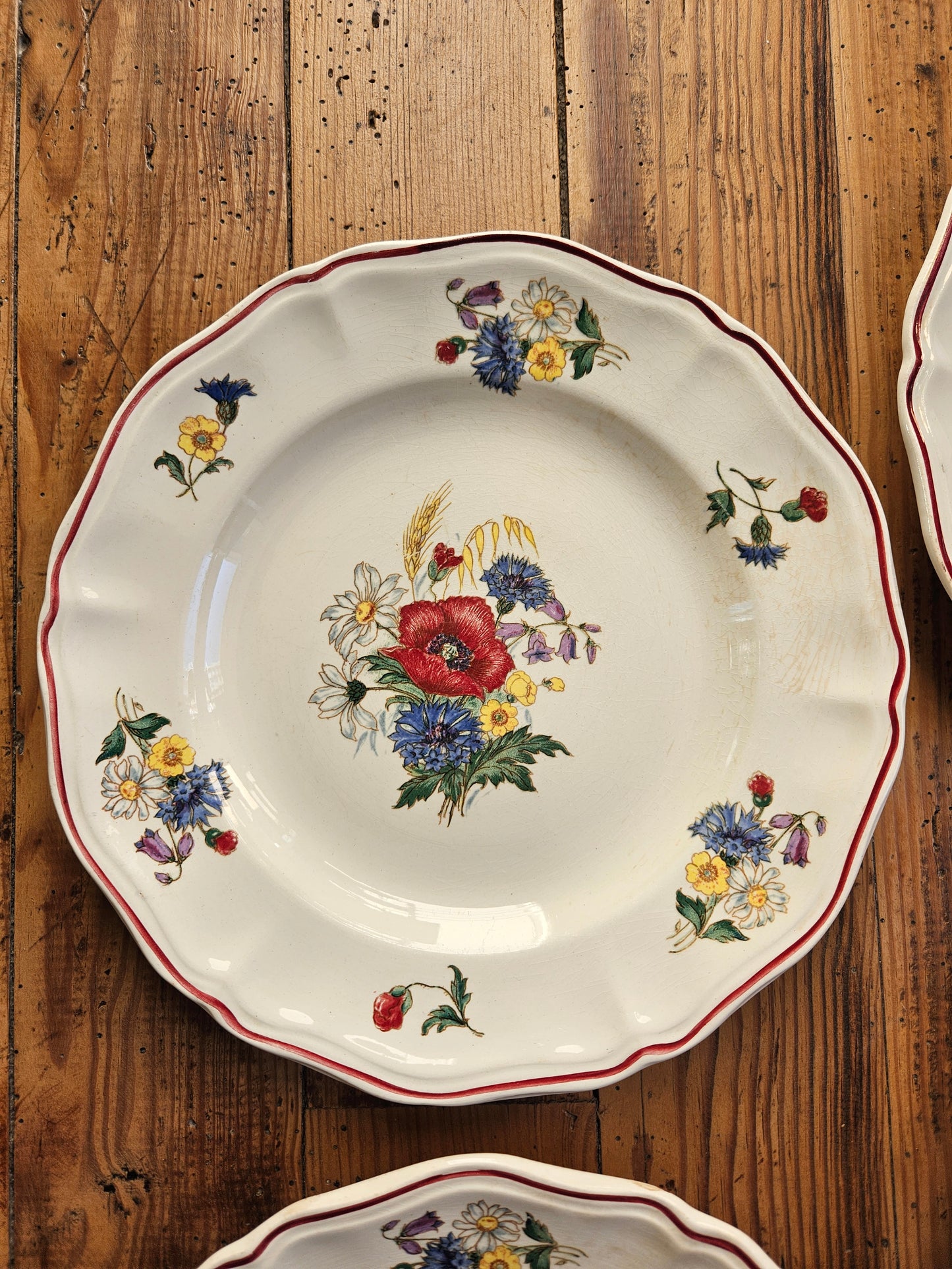Assiettes plates Sarreguemines, Agreste