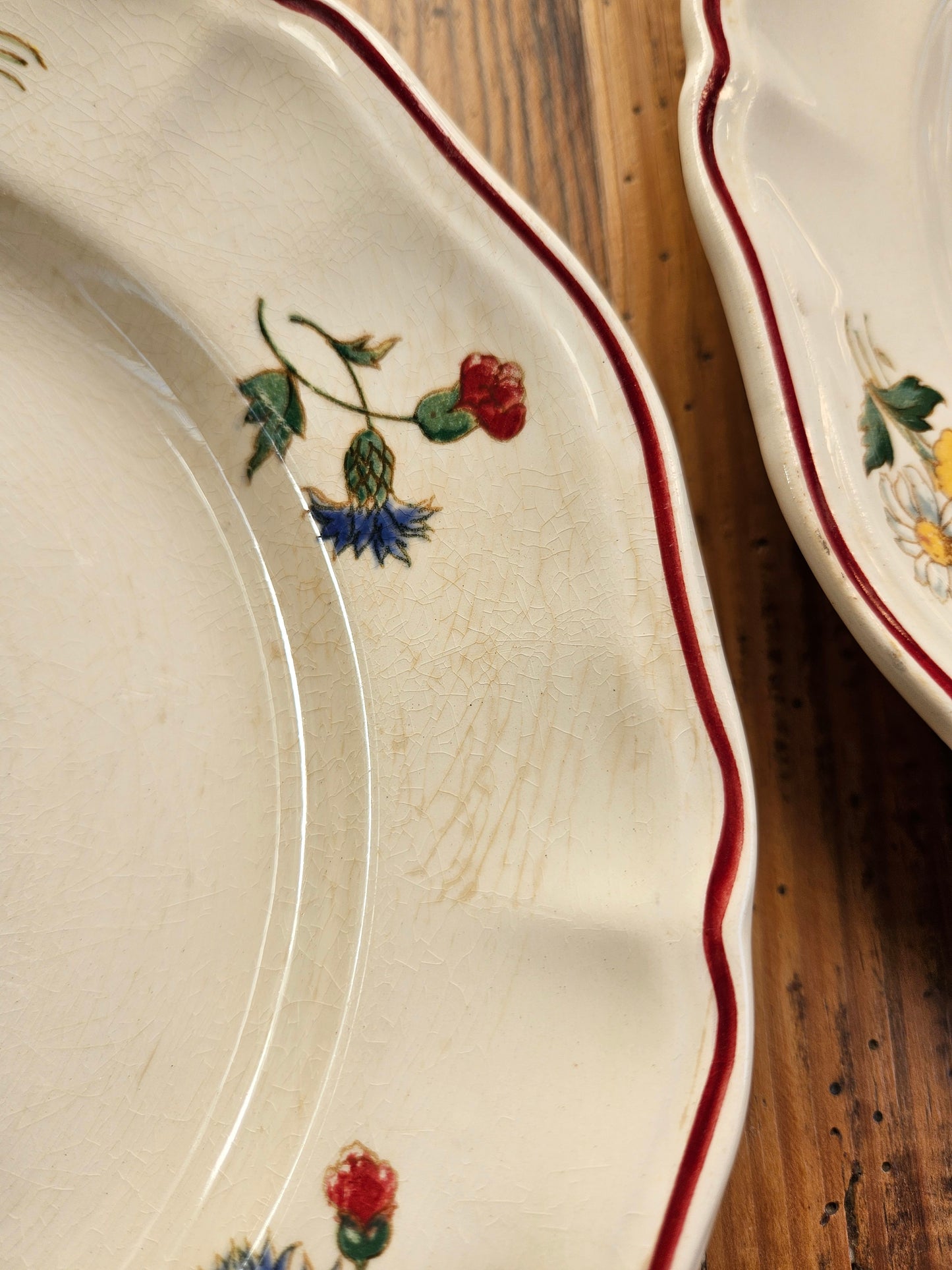 Assiettes plates Sarreguemines, Agreste