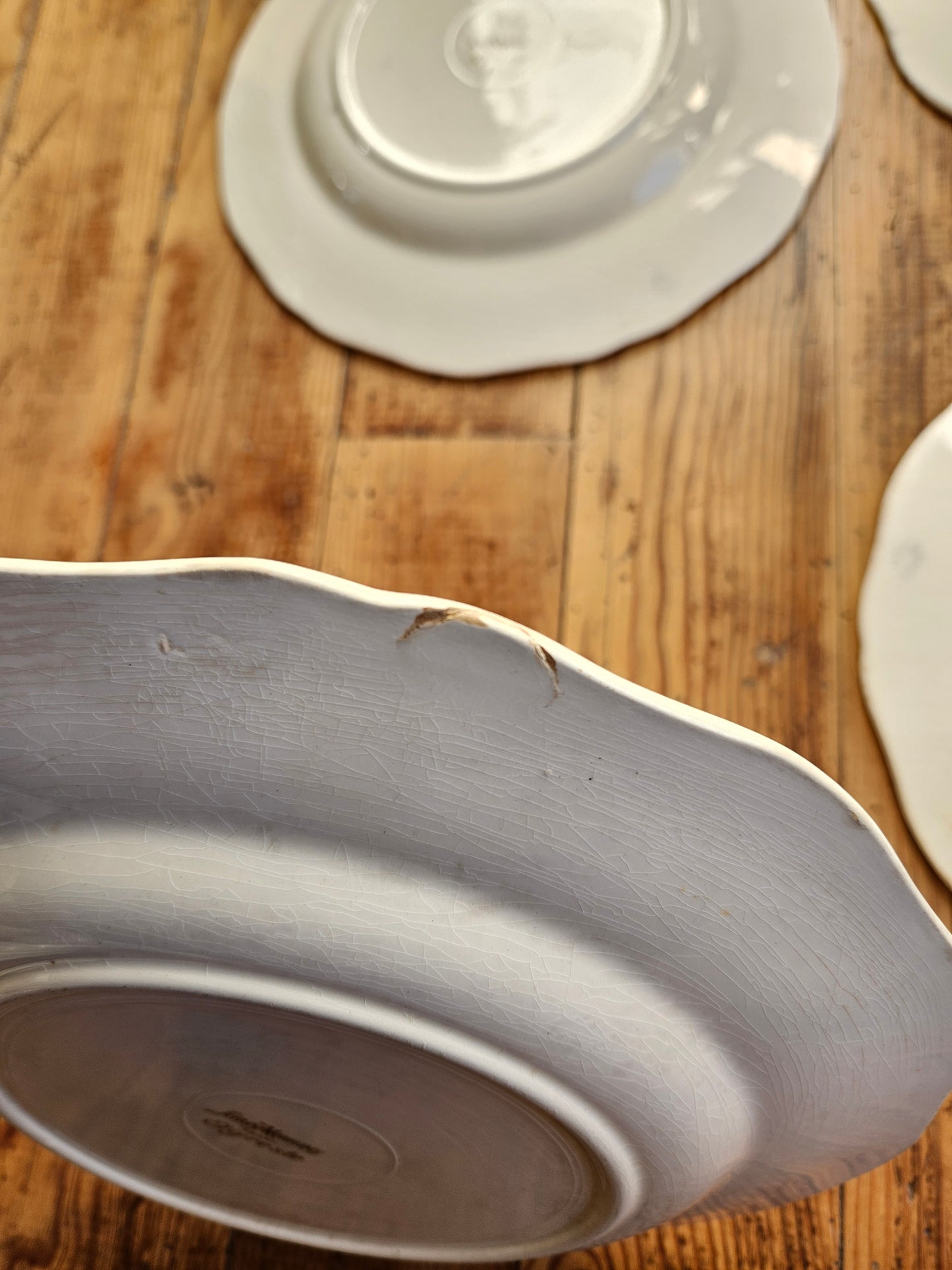 Assiettes plates Sarreguemines, Agreste