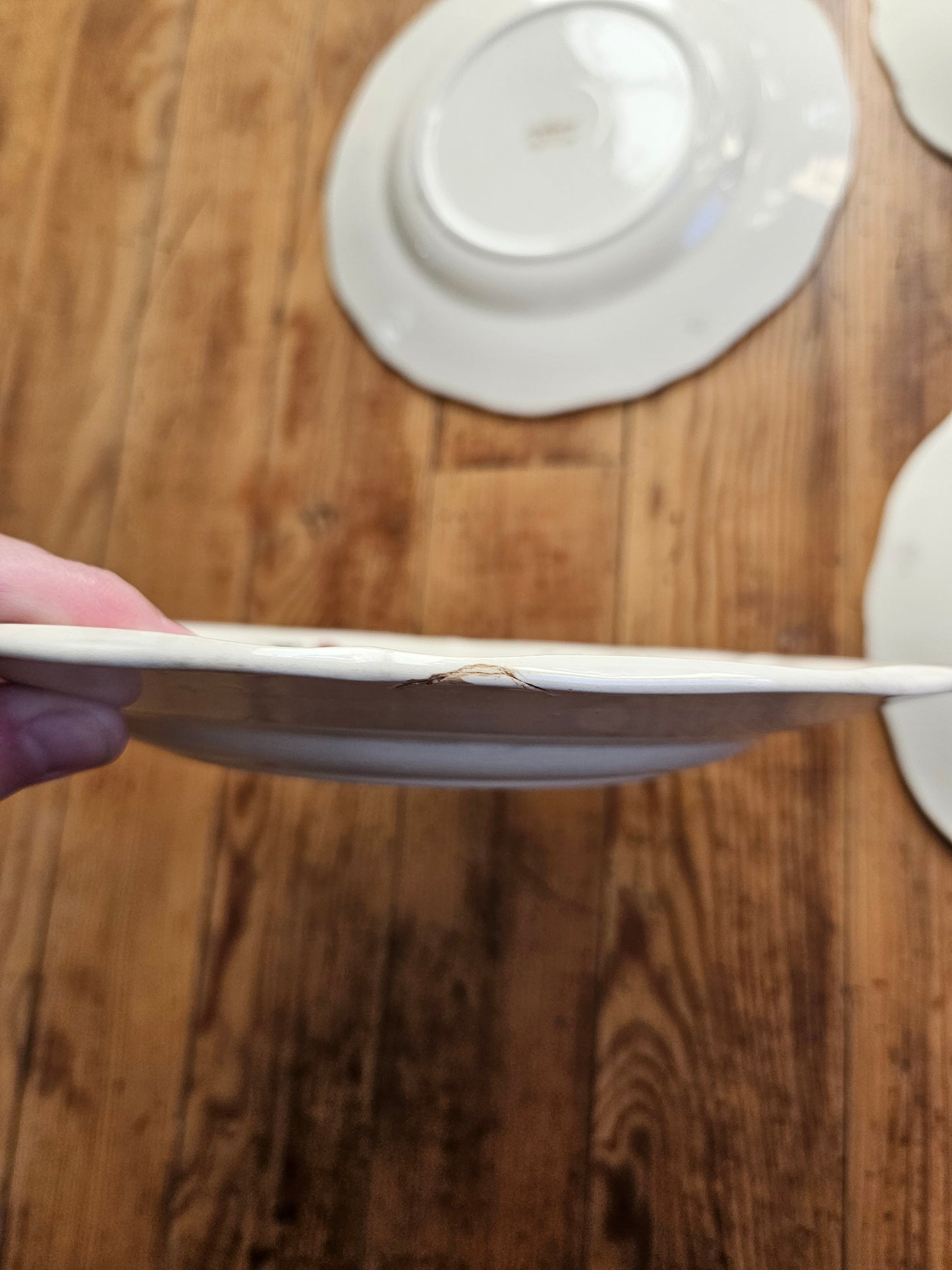Assiettes plates Sarreguemines, Agreste