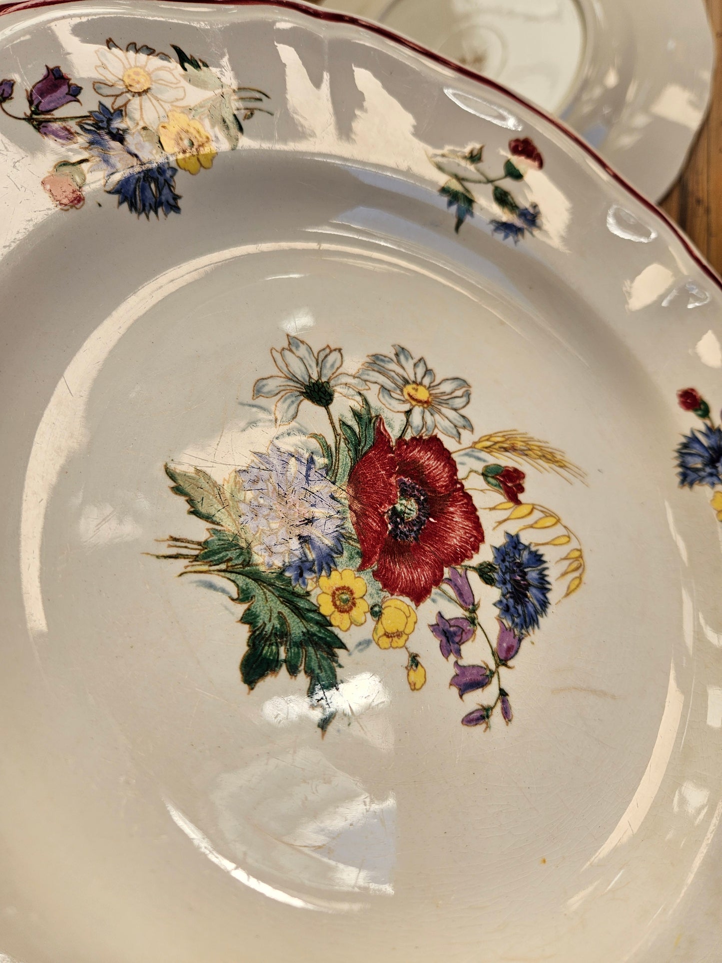 Assiettes plates Sarreguemines, Agreste