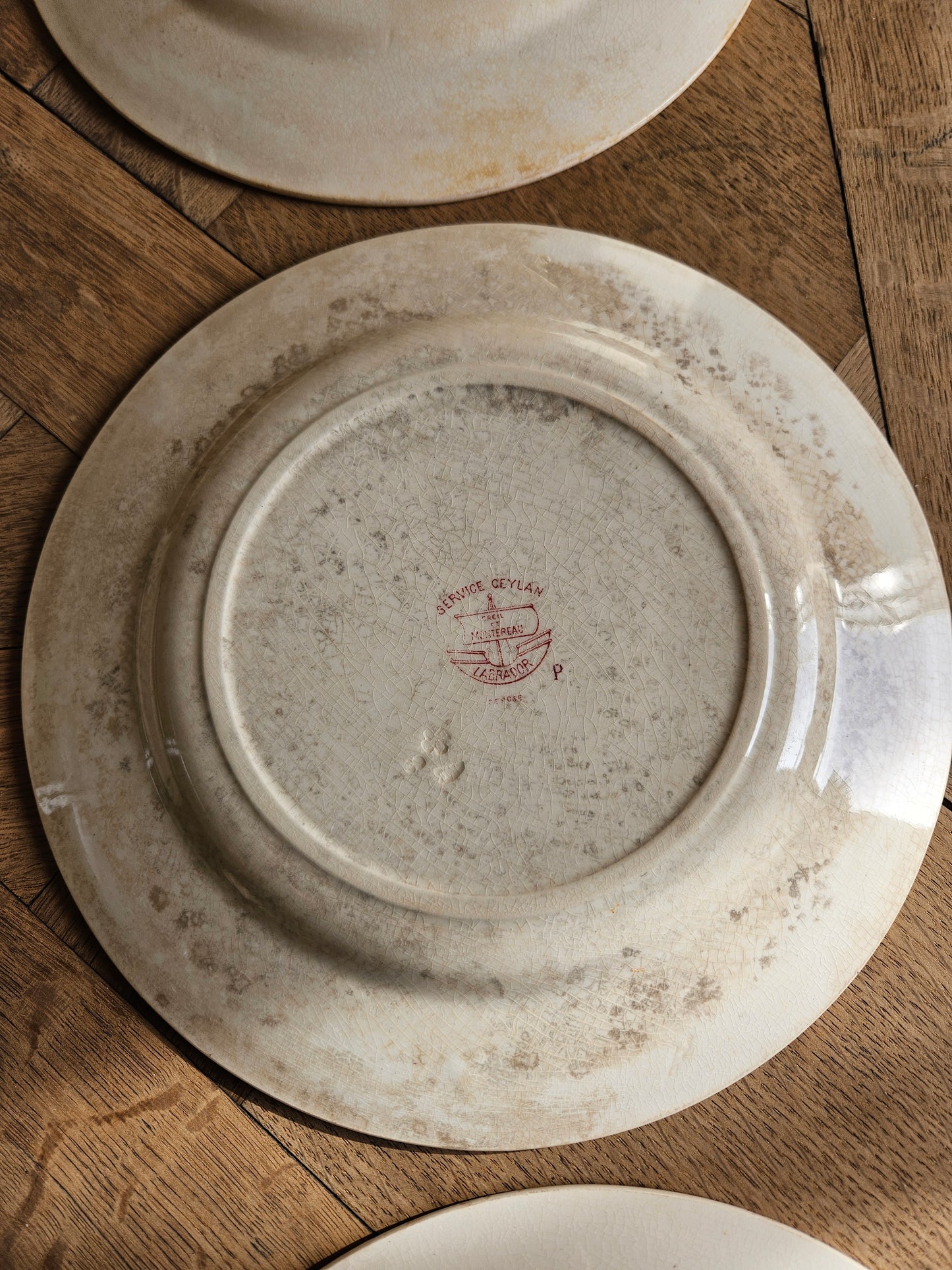 Assiettes plates Creil et Montereau, Ceylan