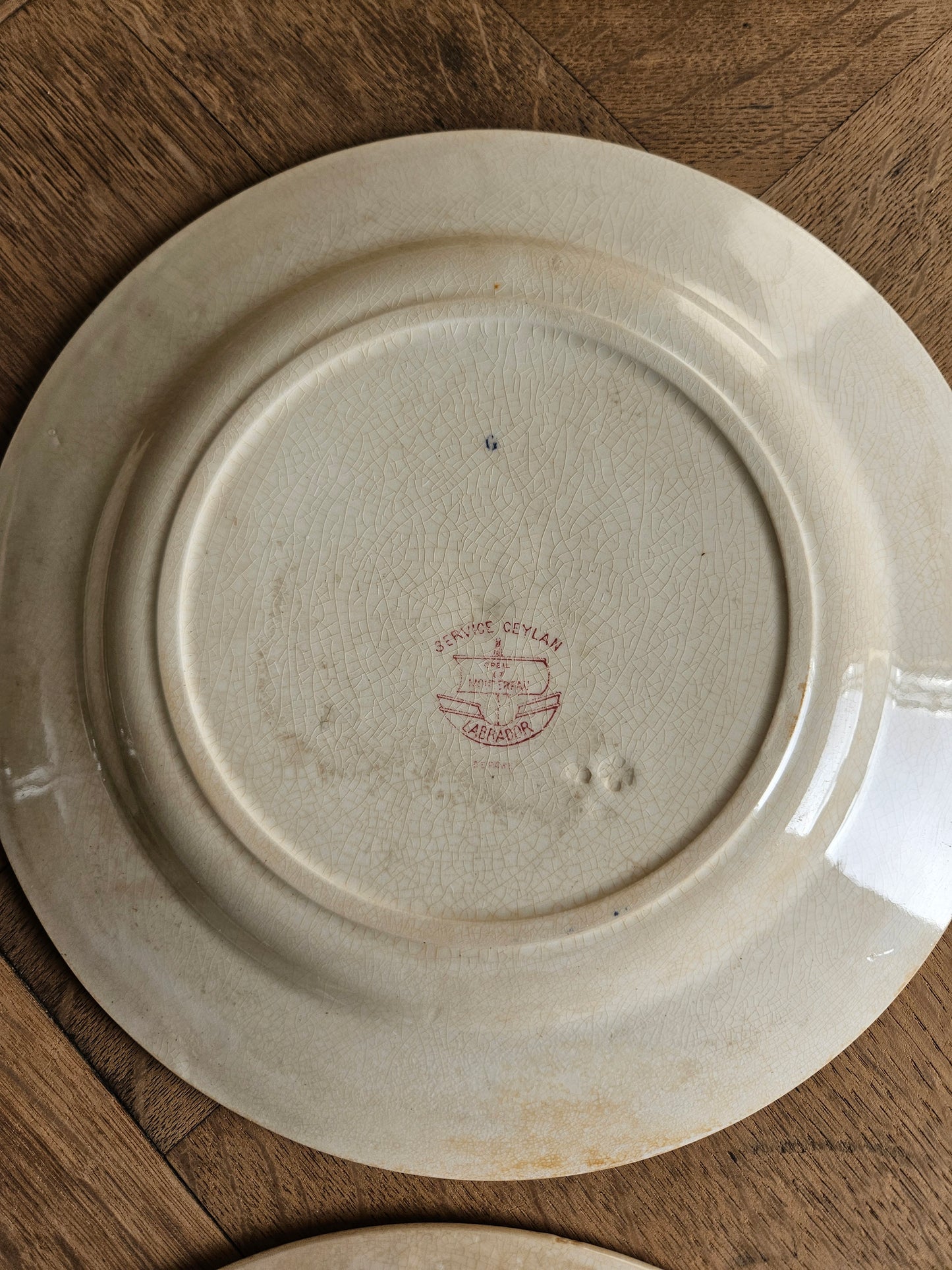 Assiettes plates Creil et Montereau, Ceylan