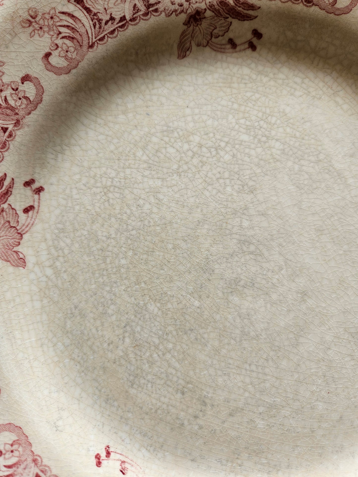 Assiettes plates Creil et Montereau, Ceylan