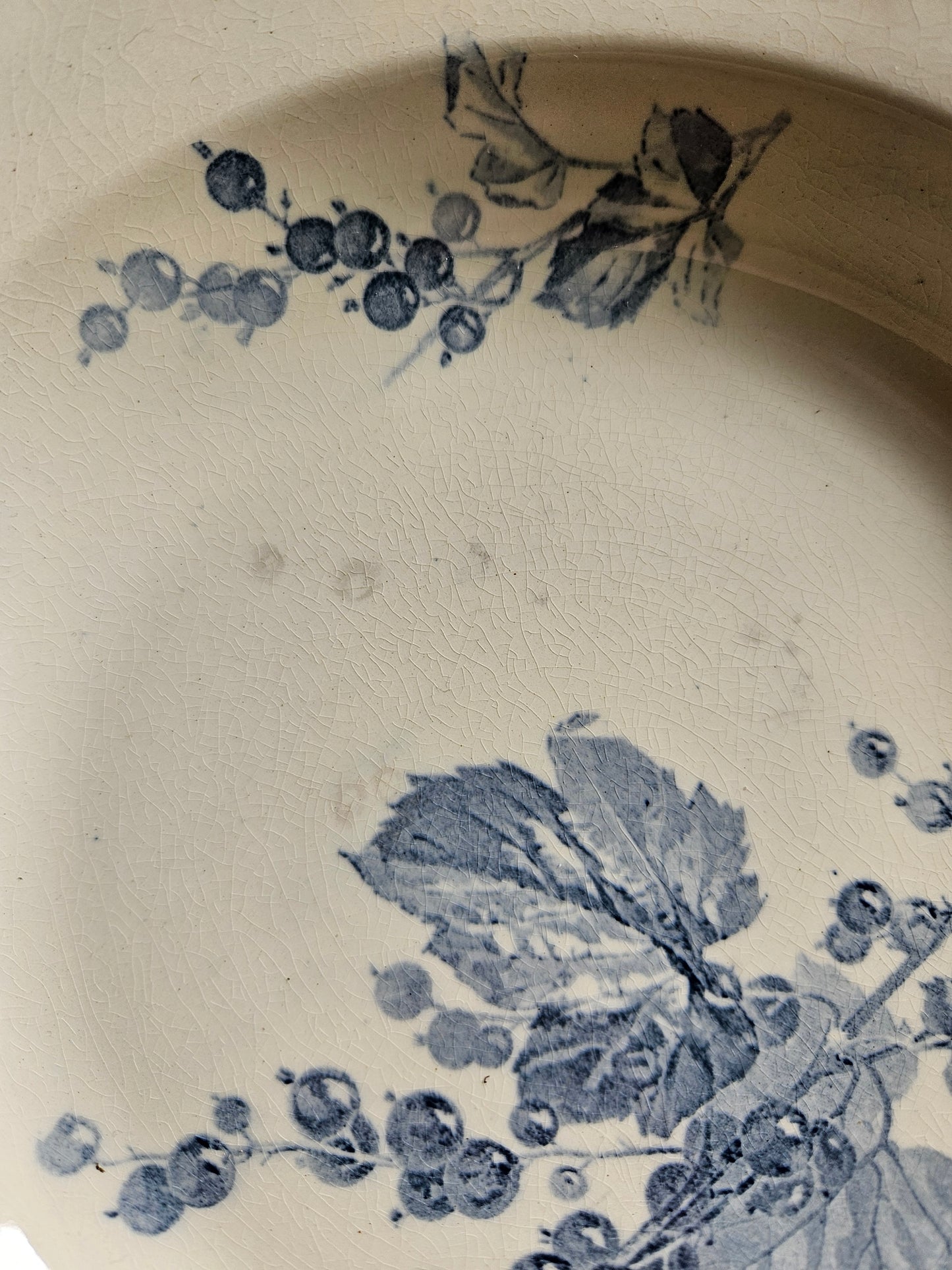 Assiettes creuses U&C Sarreguemines, Groseilles