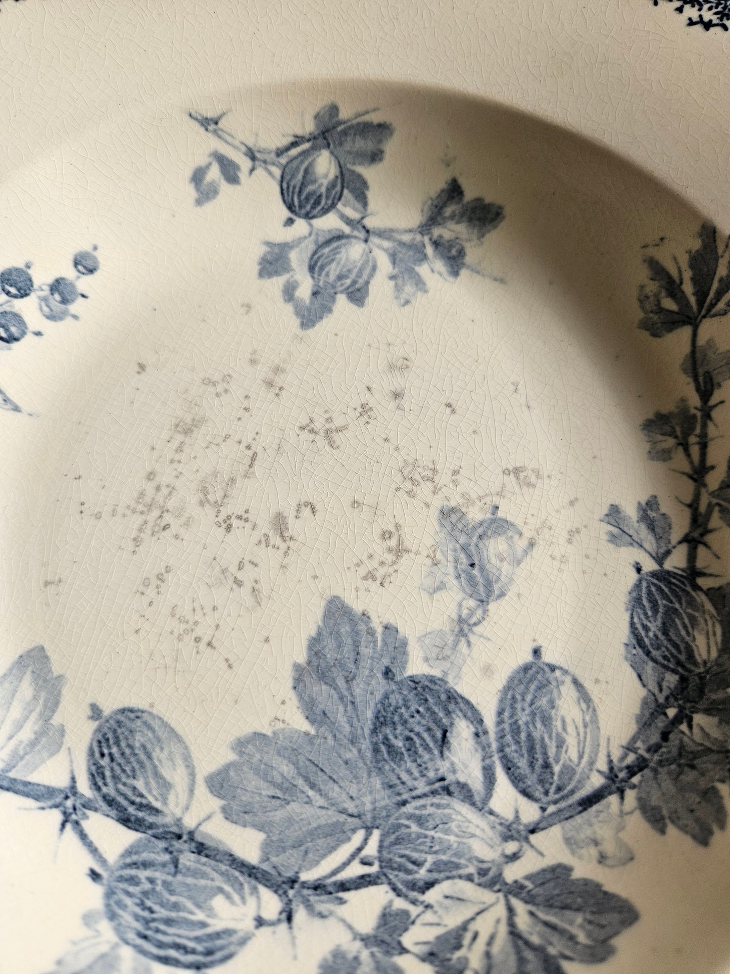 Assiettes creuses U&C Sarreguemines, Groseilles