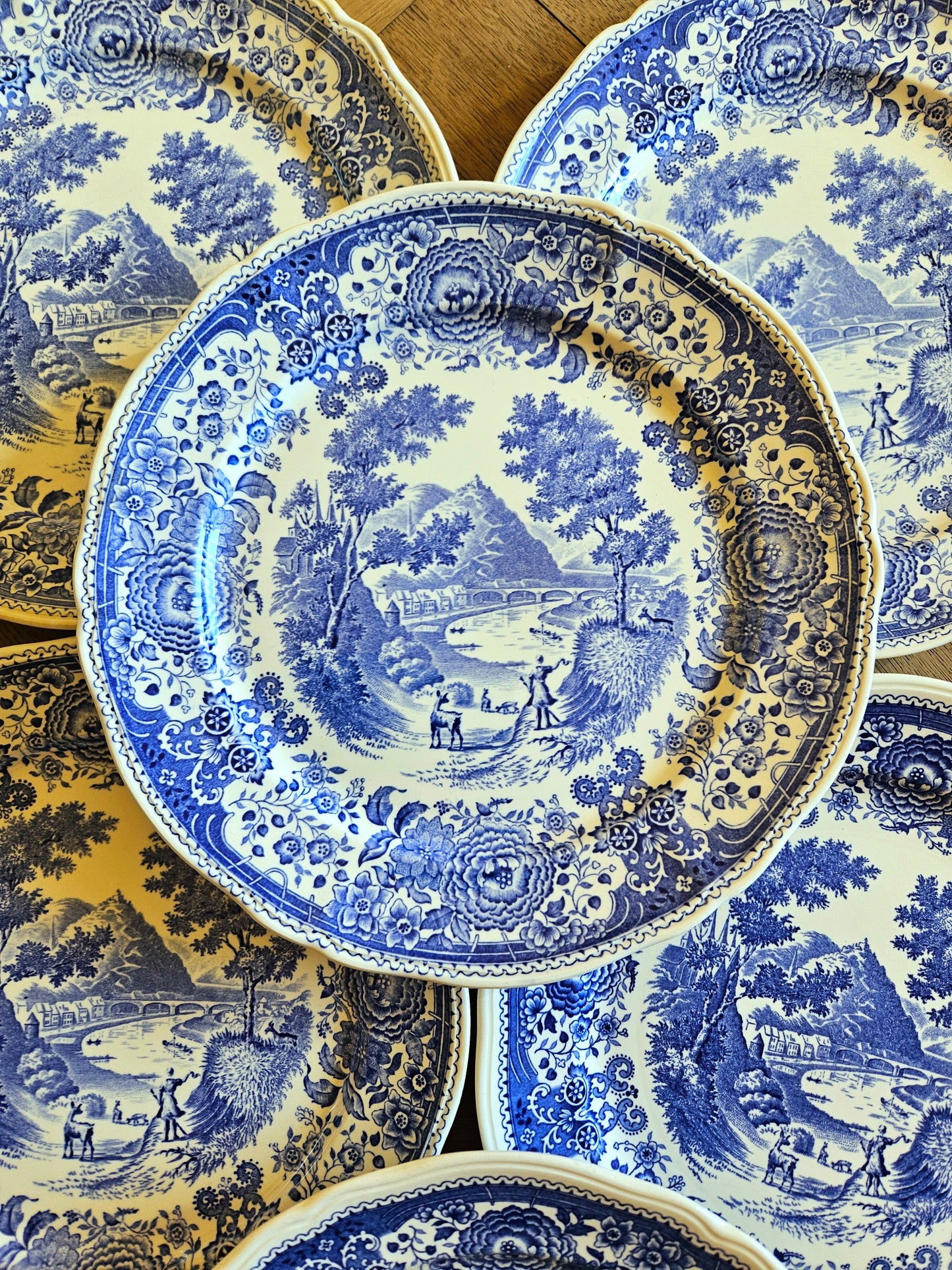 Assiettes plates Villeroy et Boch, Burgenland