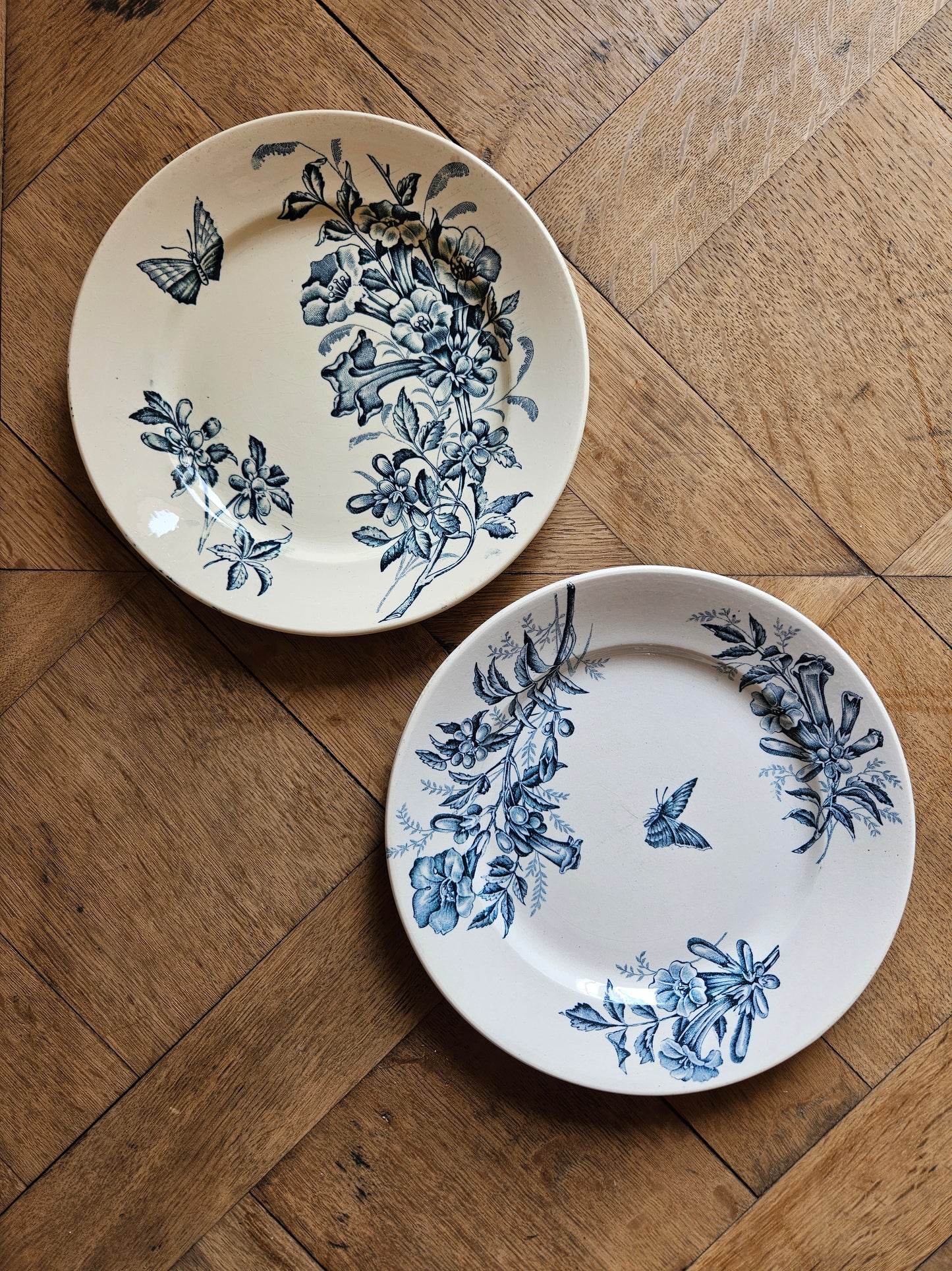 Assiettes plates Badonviller, Jasmin