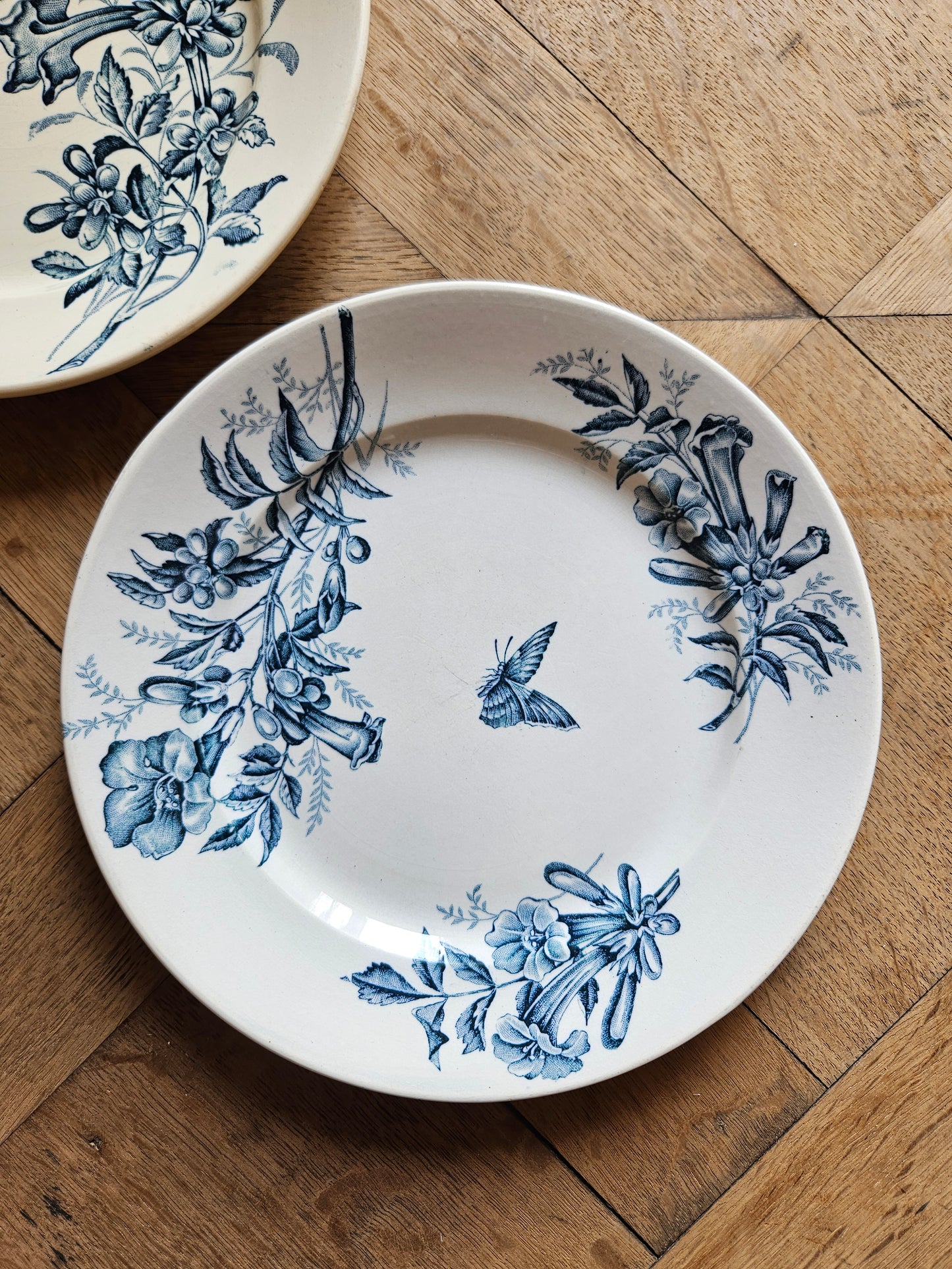 Assiettes plates Badonviller, Jasmin
