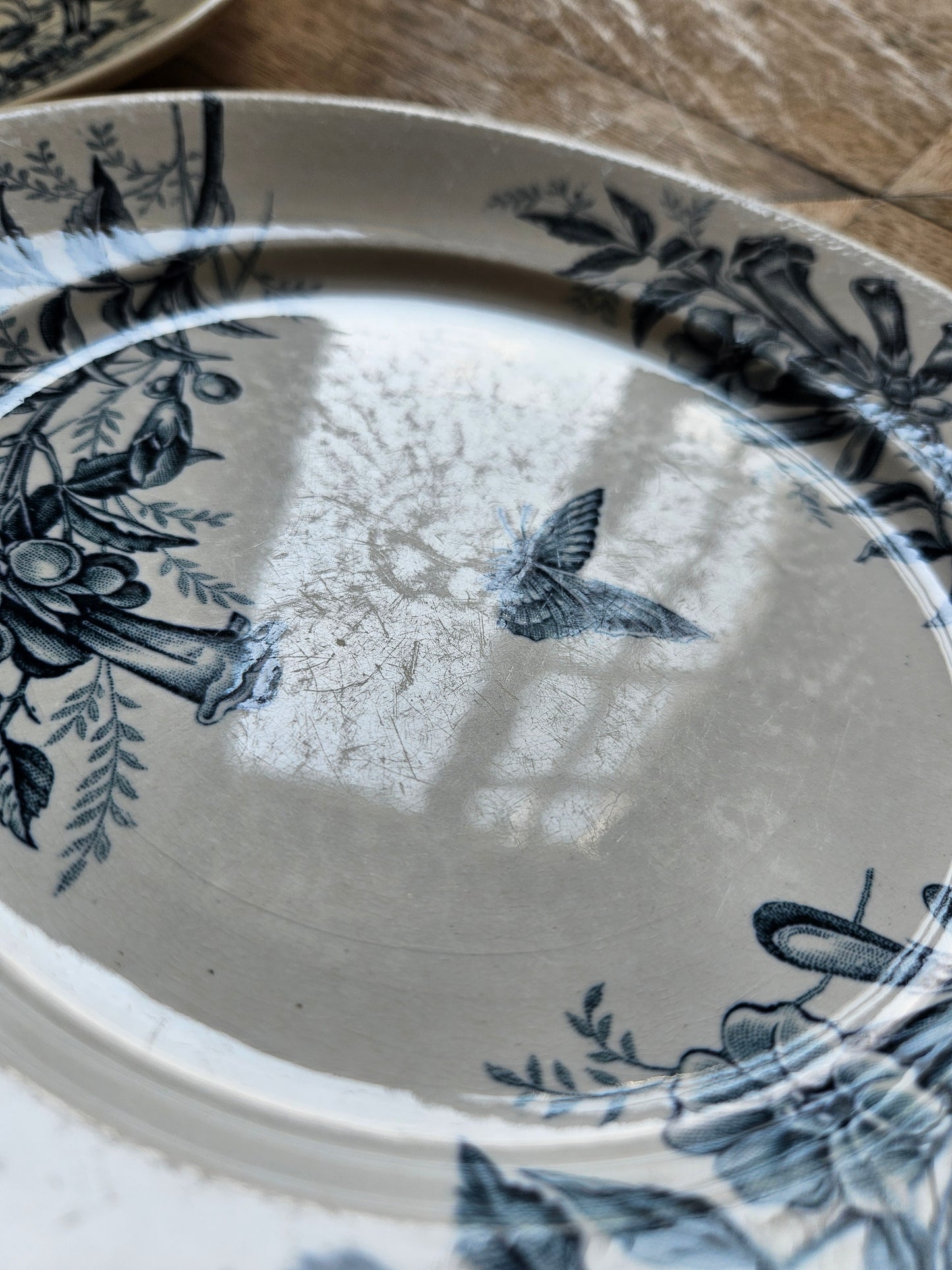 Assiettes plates Badonviller, Jasmin