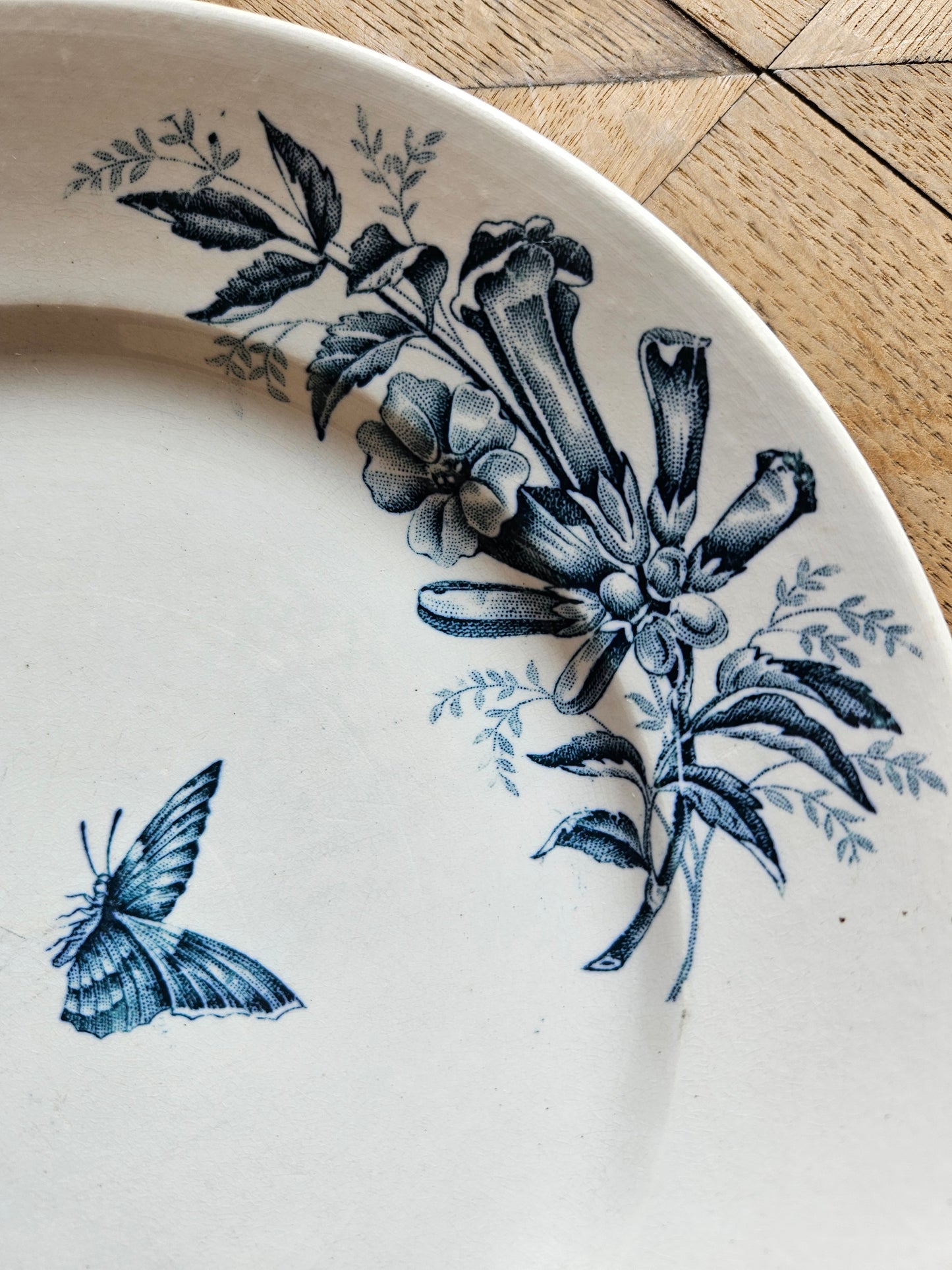 Assiettes plates Badonviller, Jasmin