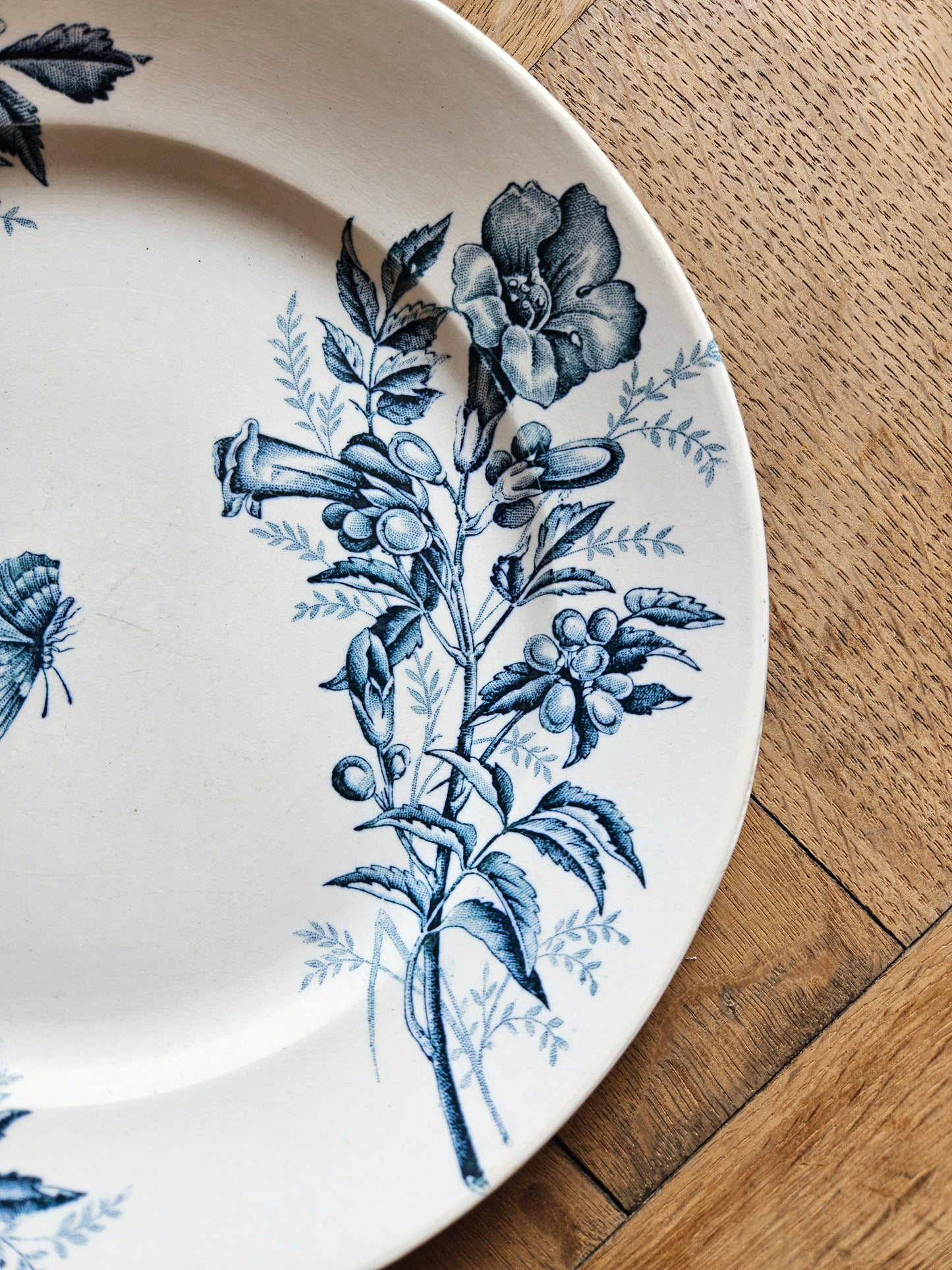 Assiettes plates Badonviller, Jasmin