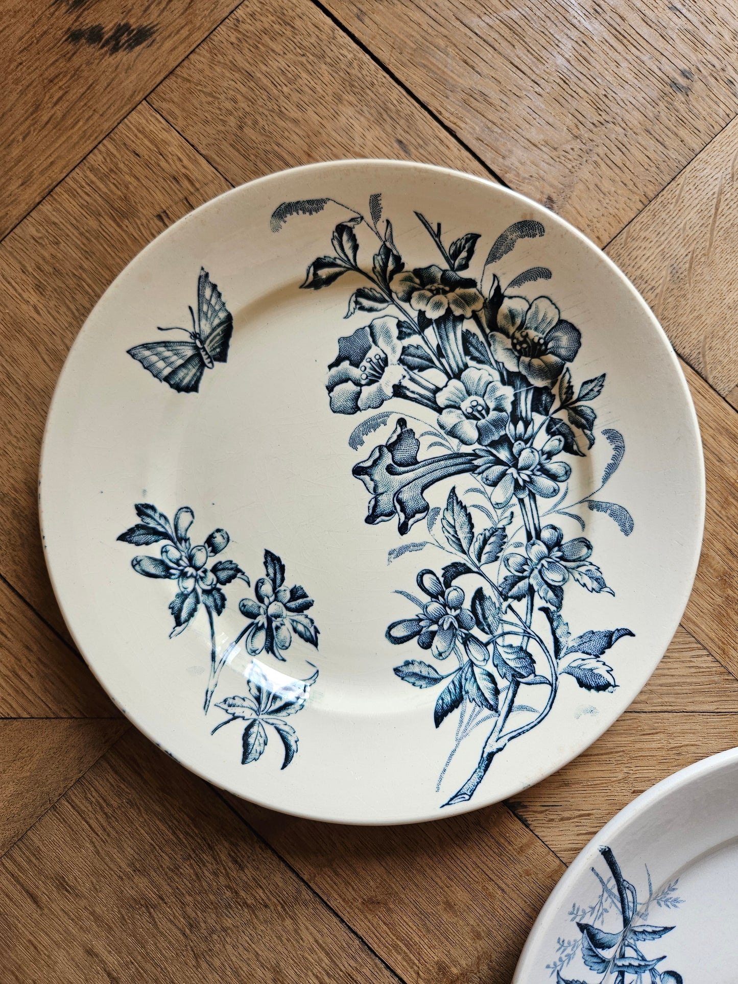 Assiettes plates Badonviller, Jasmin