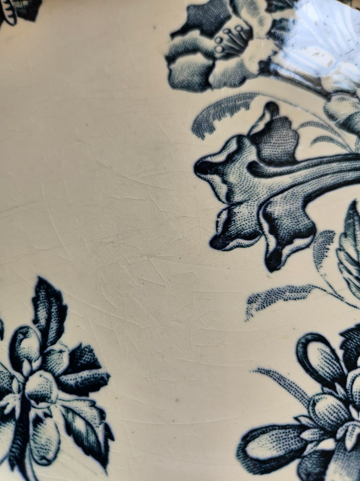 Assiettes plates Badonviller, Jasmin