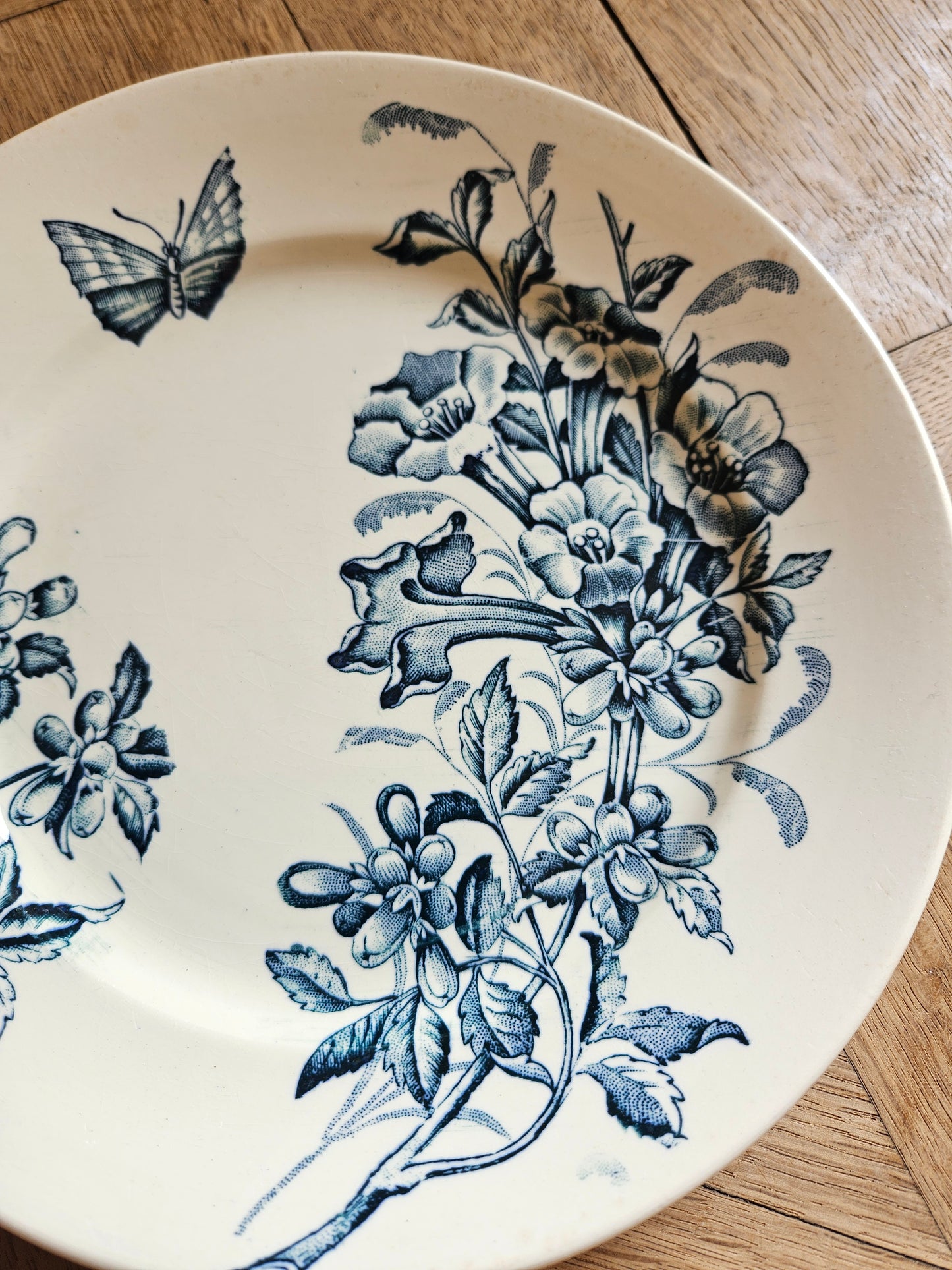 Assiettes plates Badonviller, Jasmin