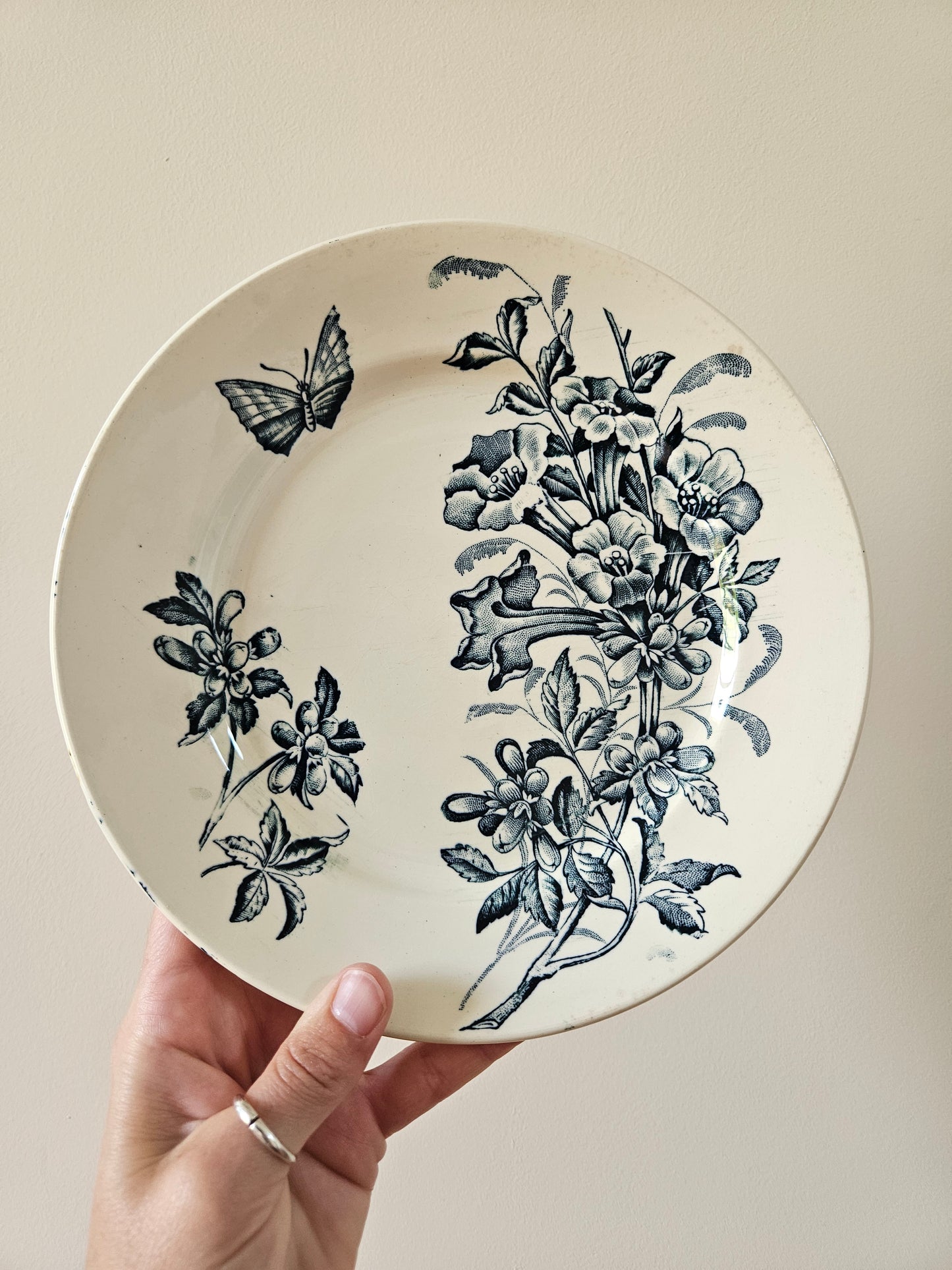Assiettes plates Badonviller, Jasmin