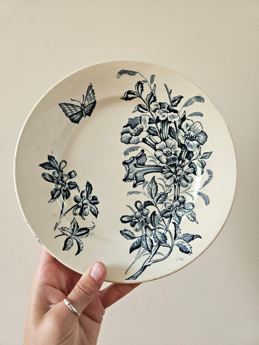 Assiettes plates Badonviller, Jasmin