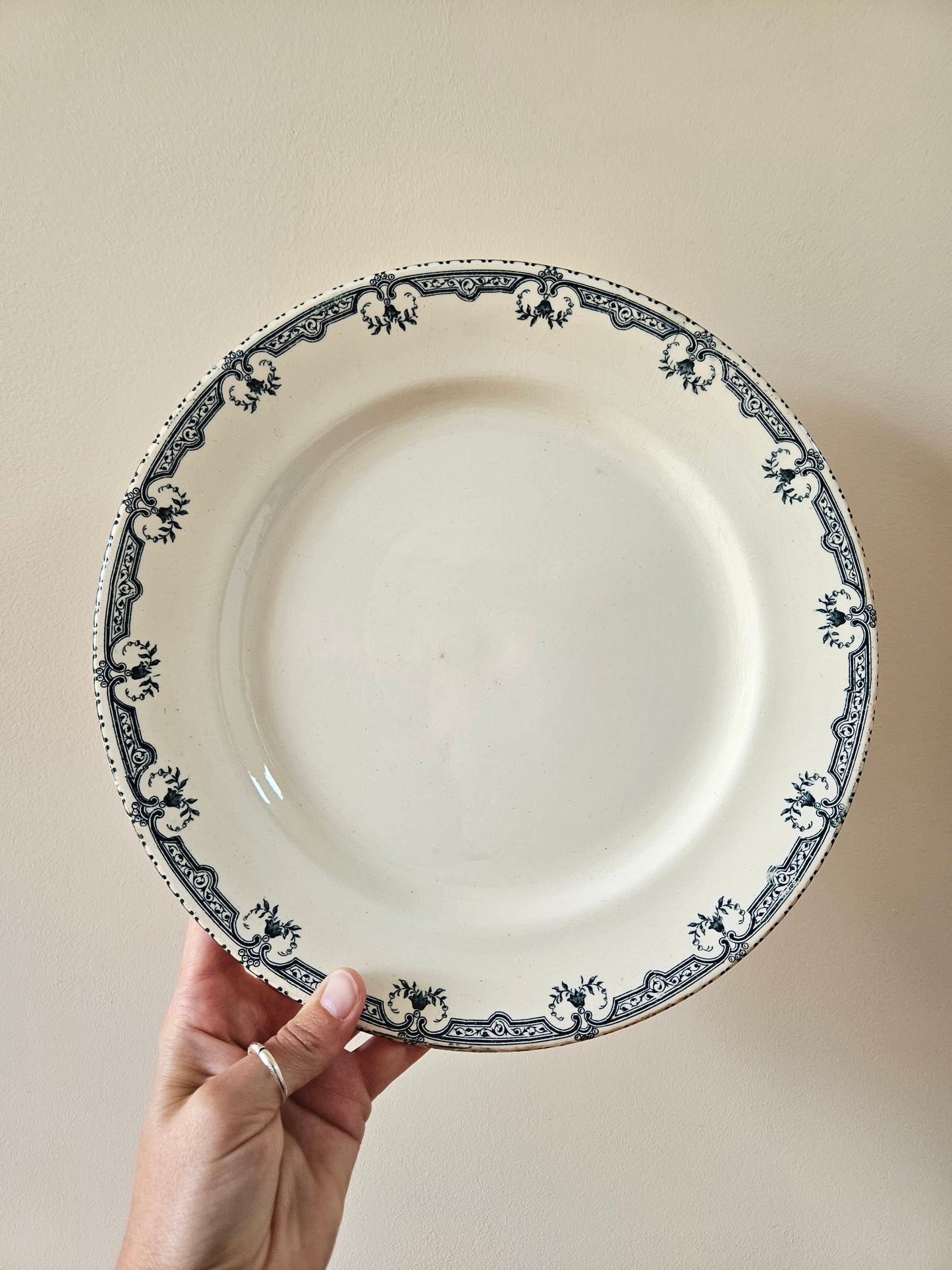 Plat rond Salins, Parmentier