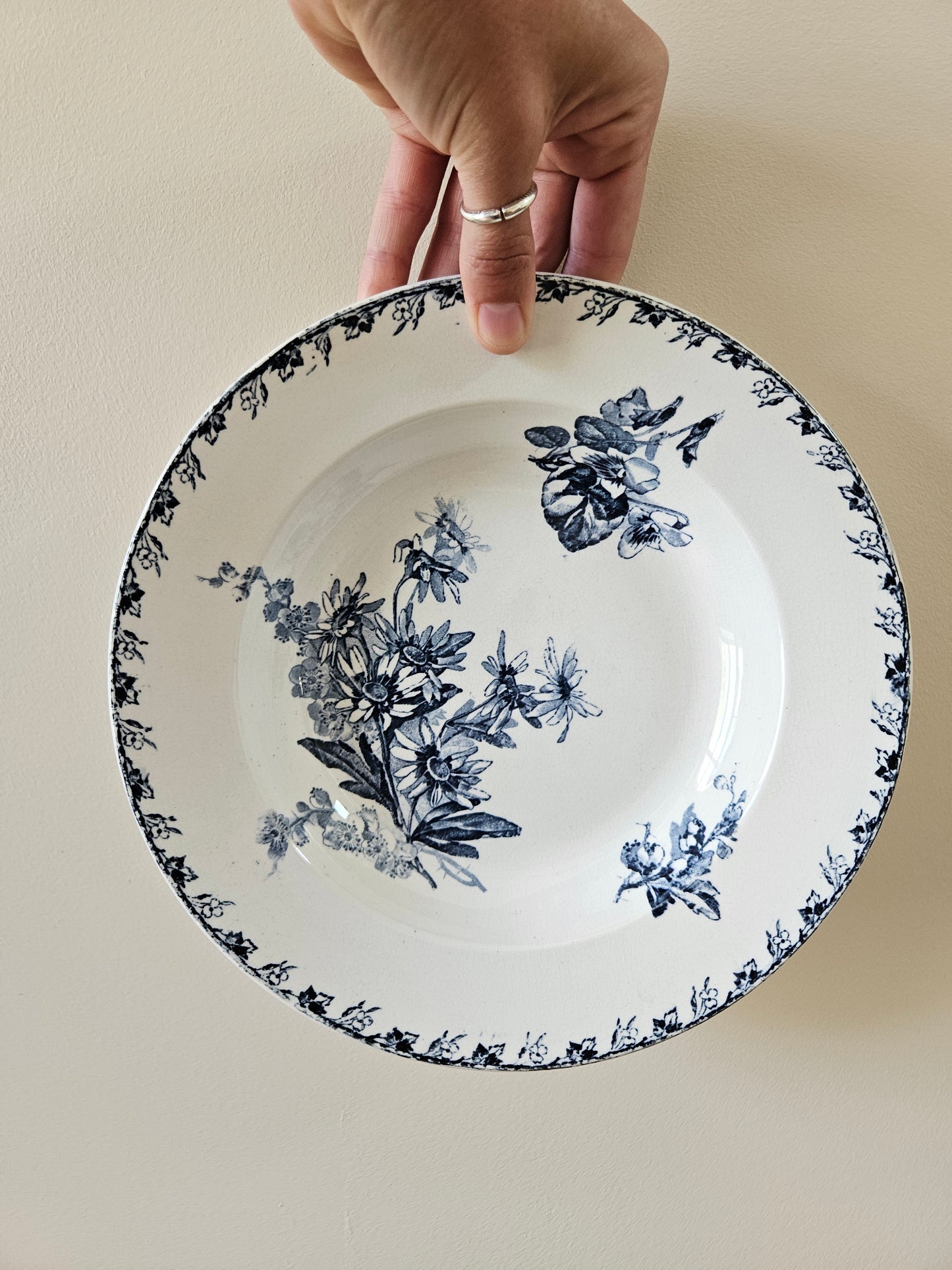 Assiettes creuses U&C Sarreguemines, Stella