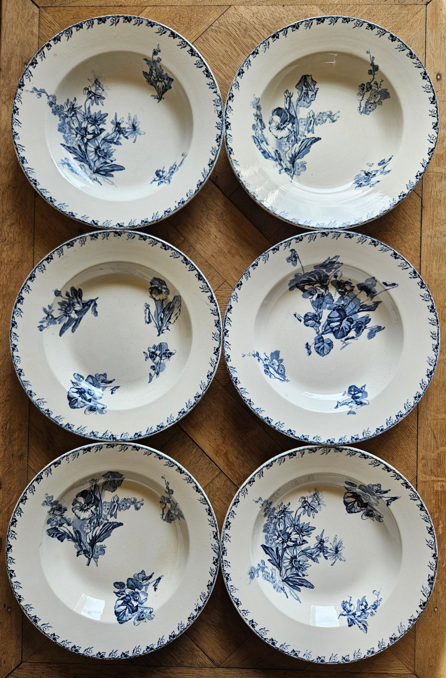 Assiettes creuses U&C Sarreguemines, Stella