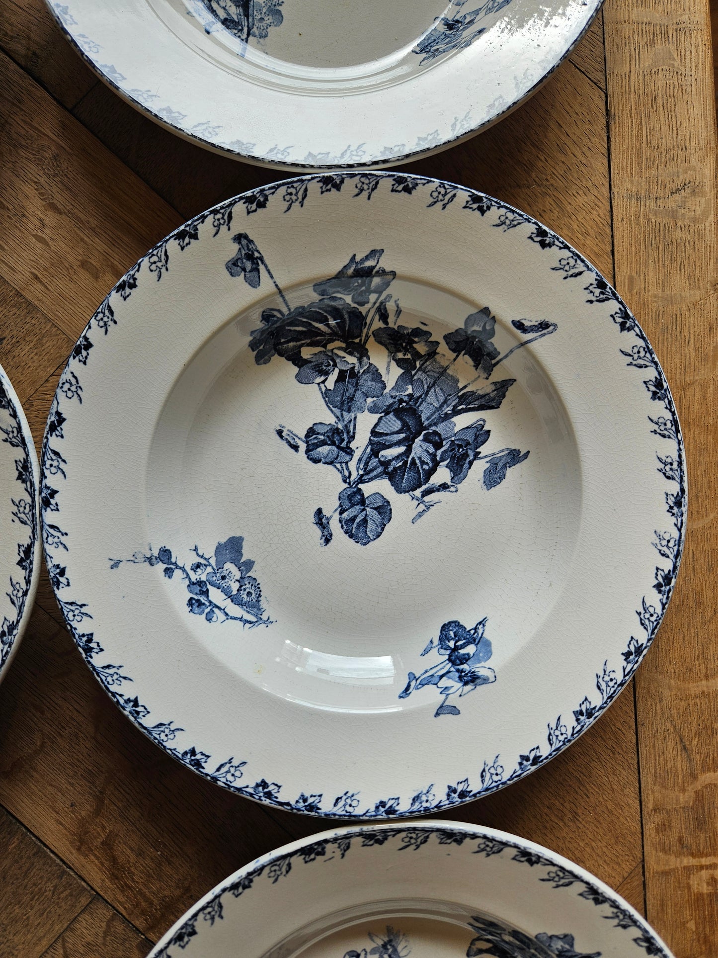 Assiettes creuses U&C Sarreguemines, Stella