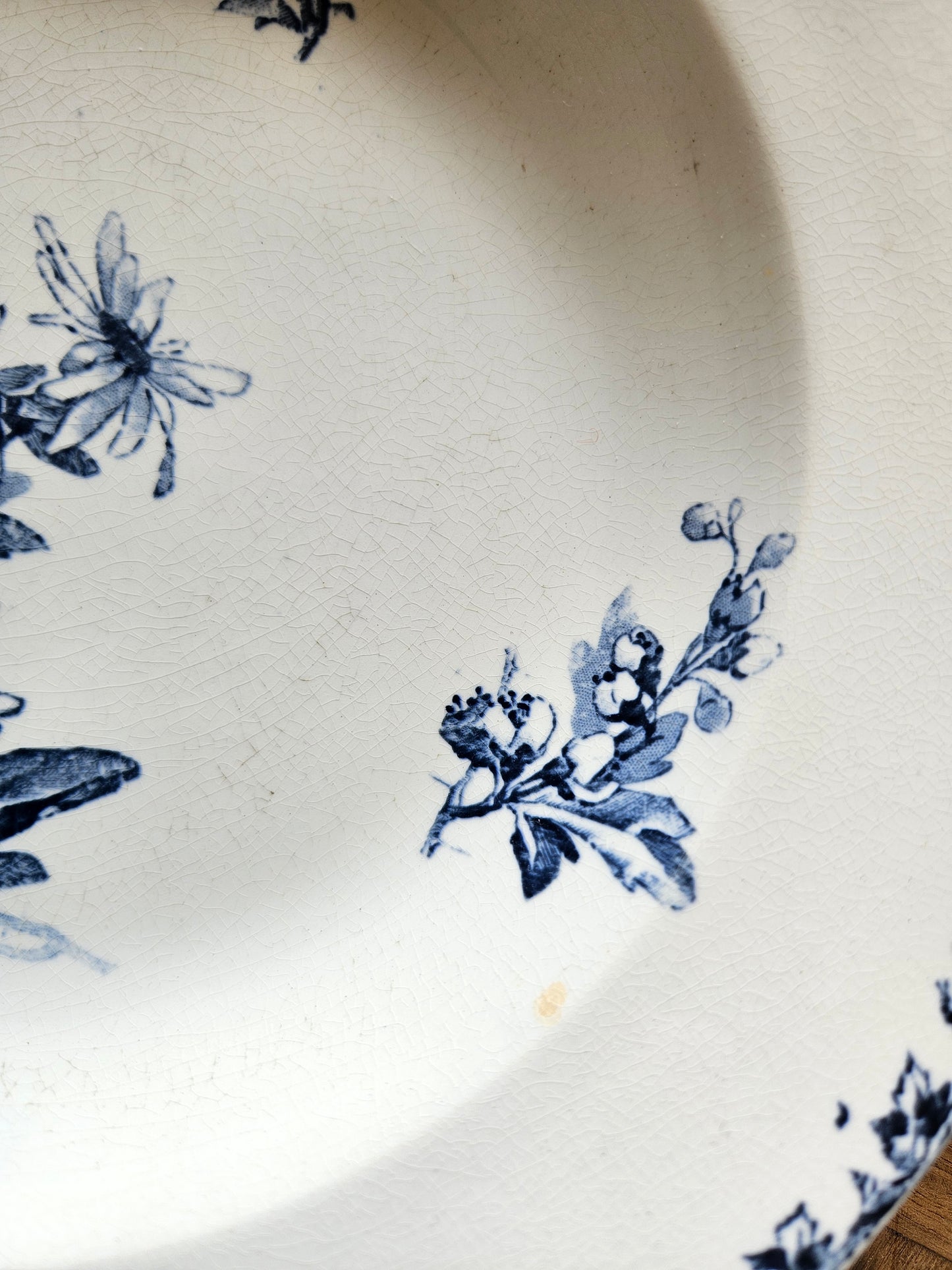 Assiettes creuses U&C Sarreguemines, Stella