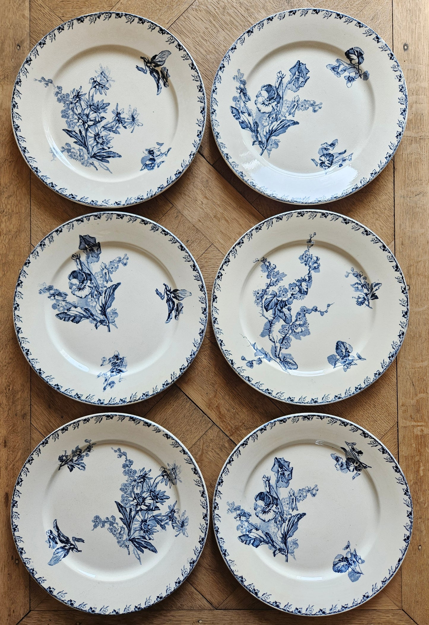 Assiettes plates U&C Sarreguemines, Stella