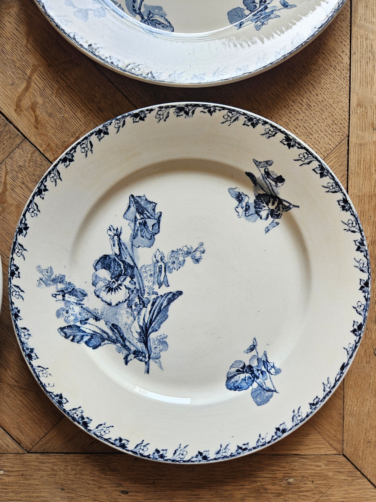 Assiettes plates U&C Sarreguemines, Stella