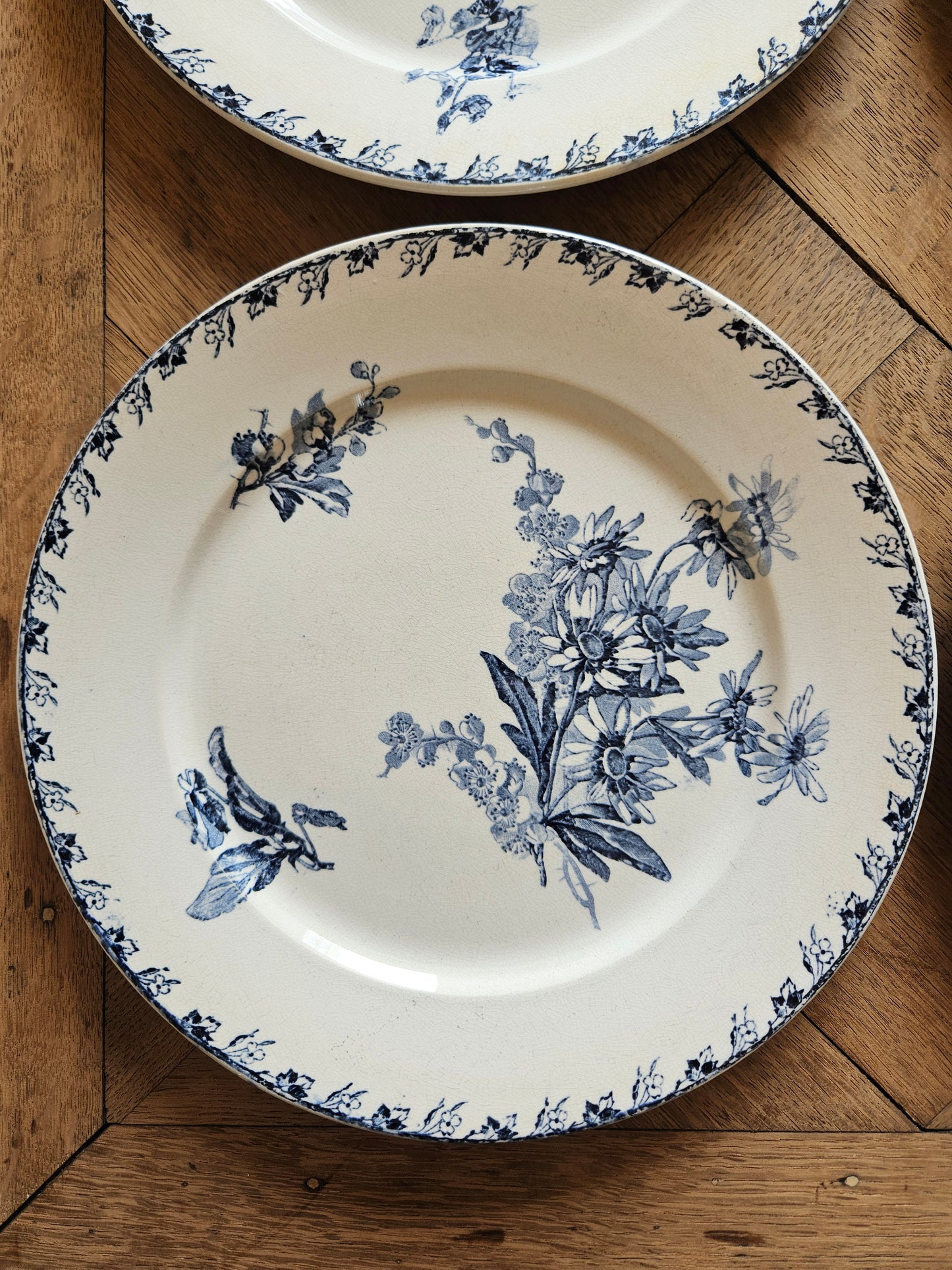 Assiettes plates U&C Sarreguemines, Stella