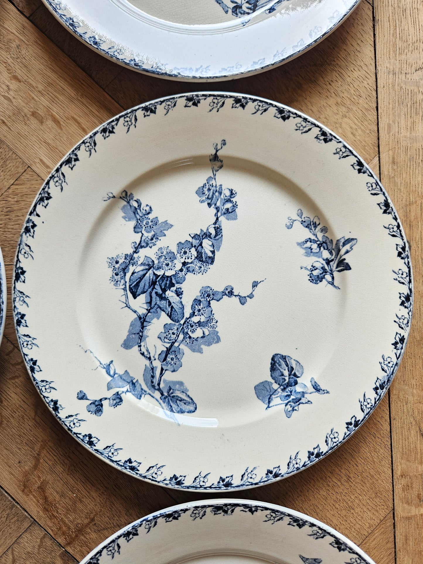 Assiettes plates U&C Sarreguemines, Stella