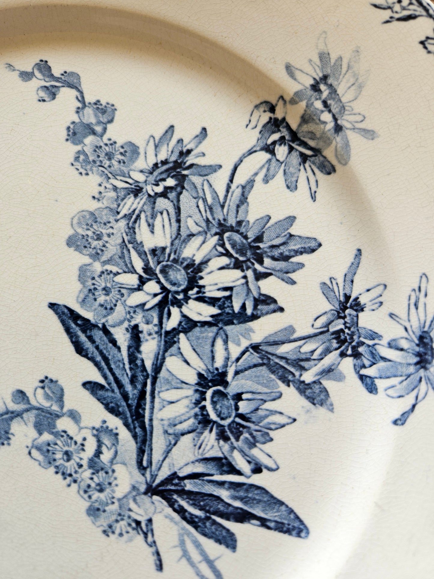 Assiettes plates U&C Sarreguemines, Stella