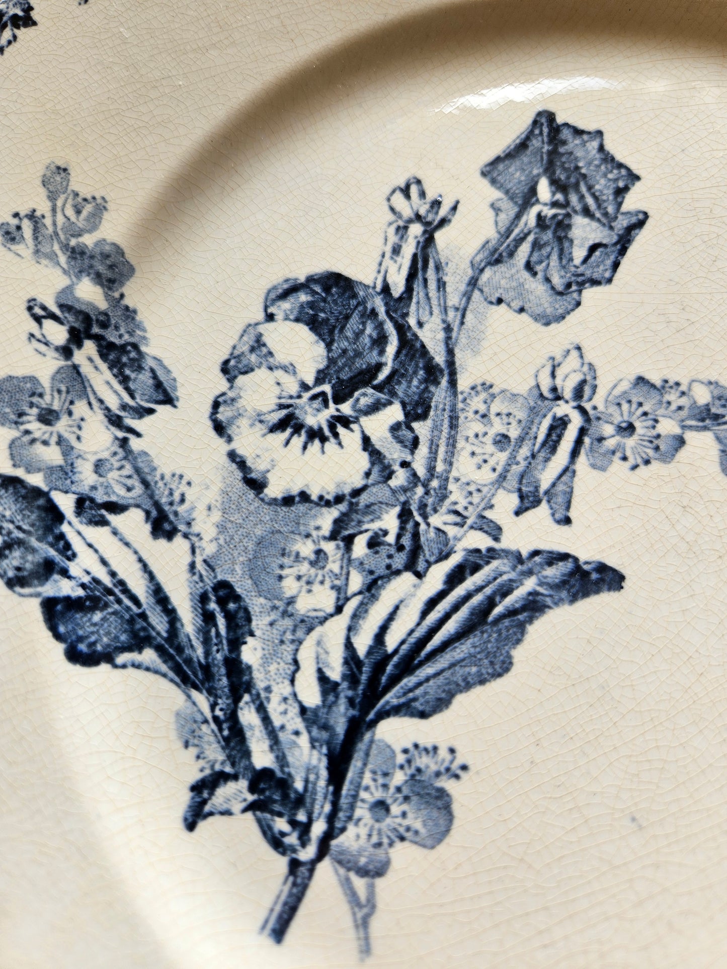 Assiettes plates U&C Sarreguemines, Stella