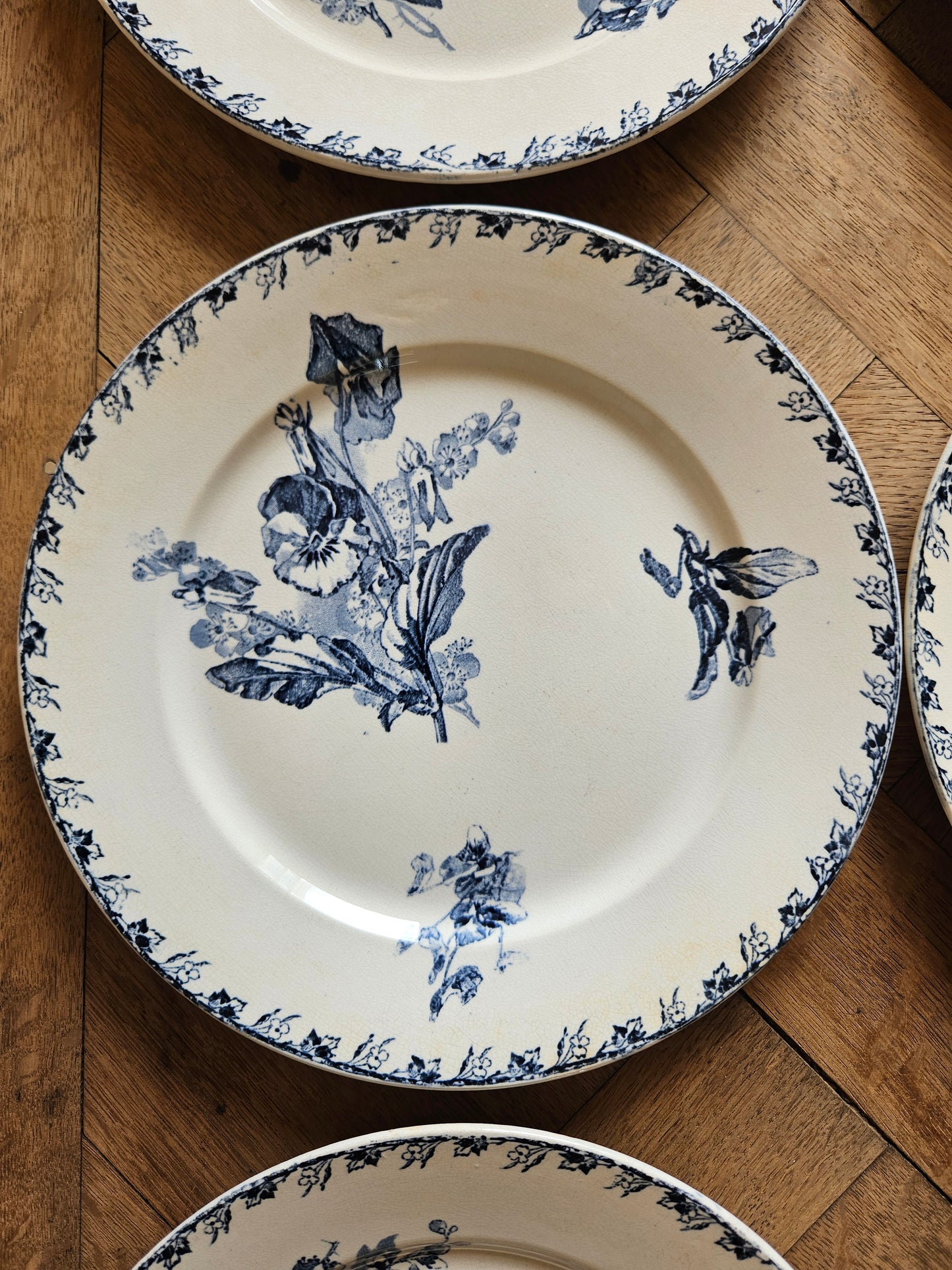 Assiettes plates U&C Sarreguemines, Stella