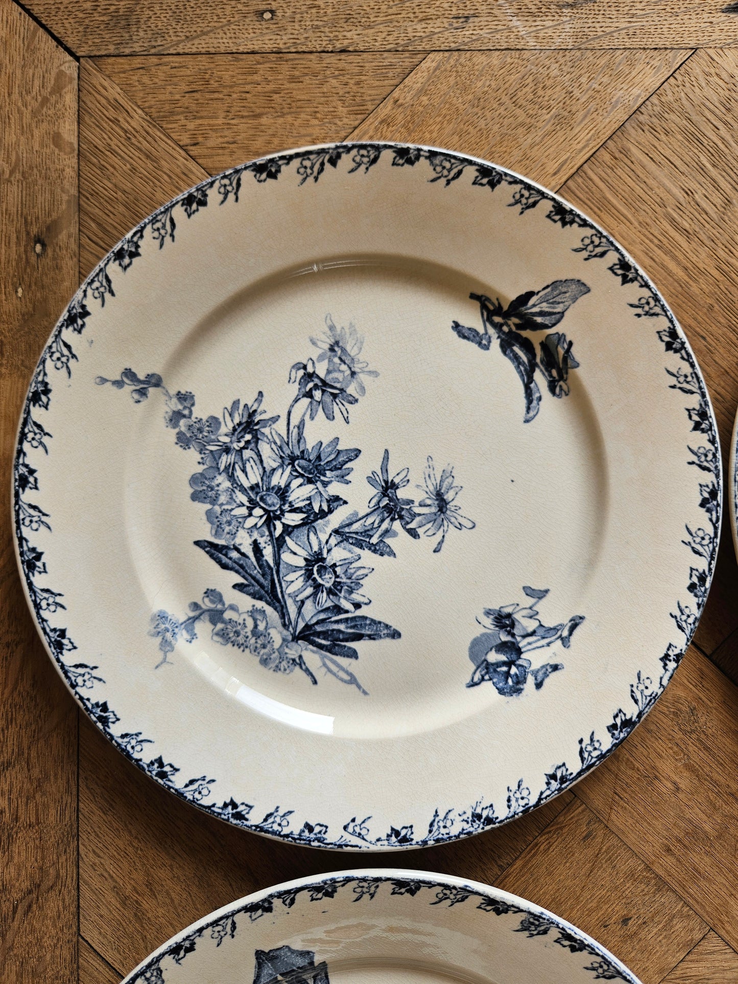 Assiettes plates U&C Sarreguemines, Stella