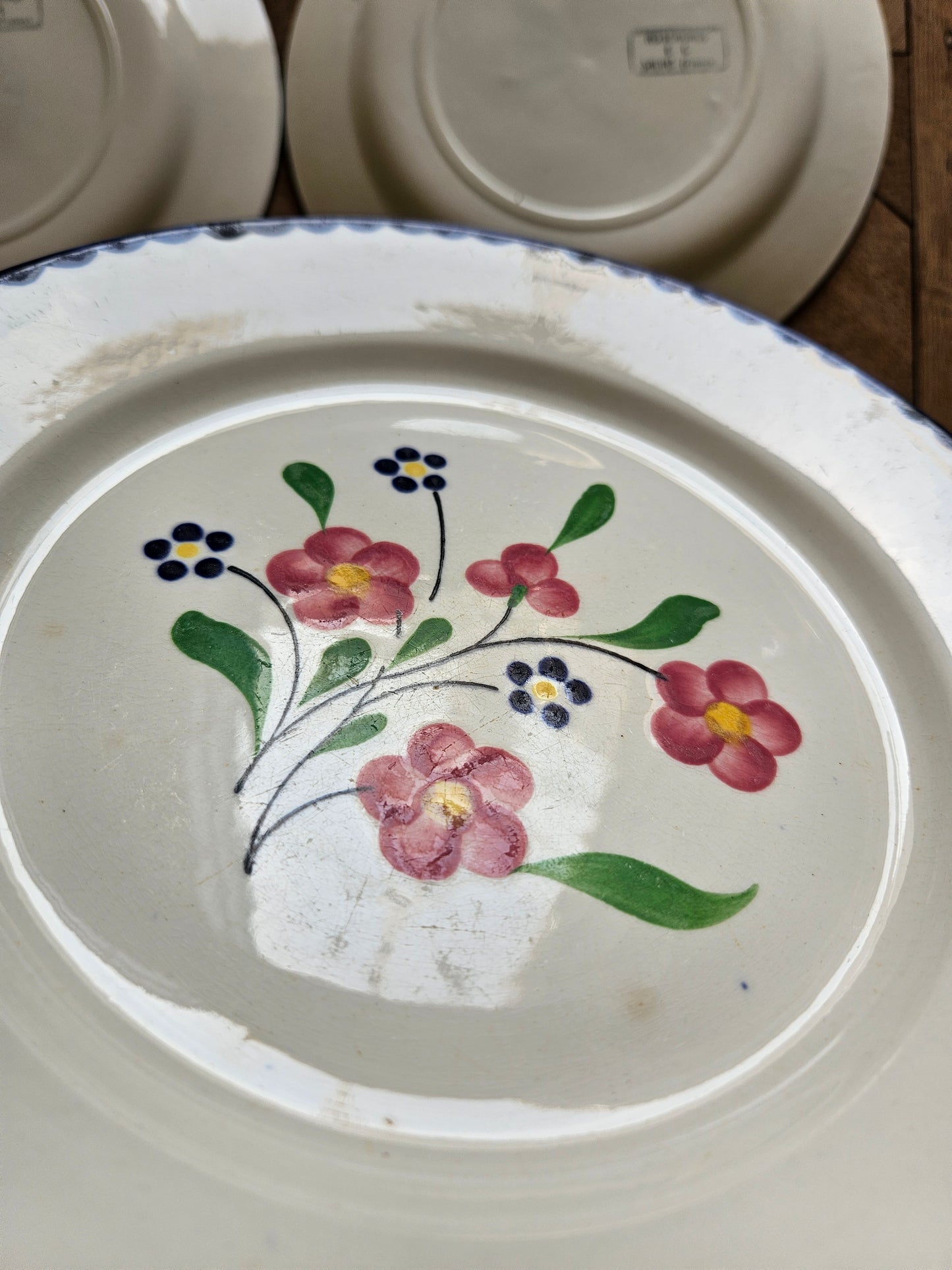 Traces d’usage sur assiettes plates vintage Salins, Rosemonde