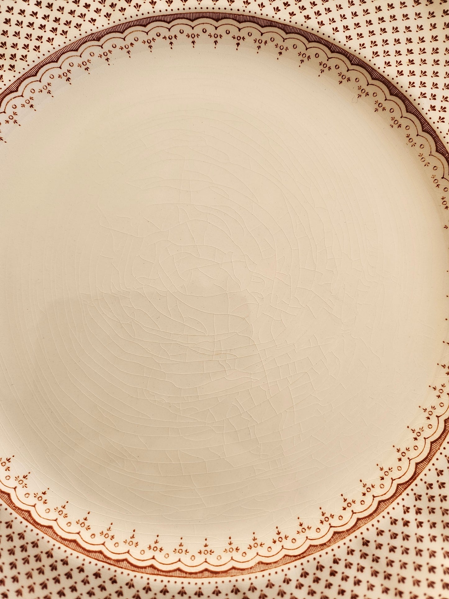 Assiettes plates Mason’s, Ashlea